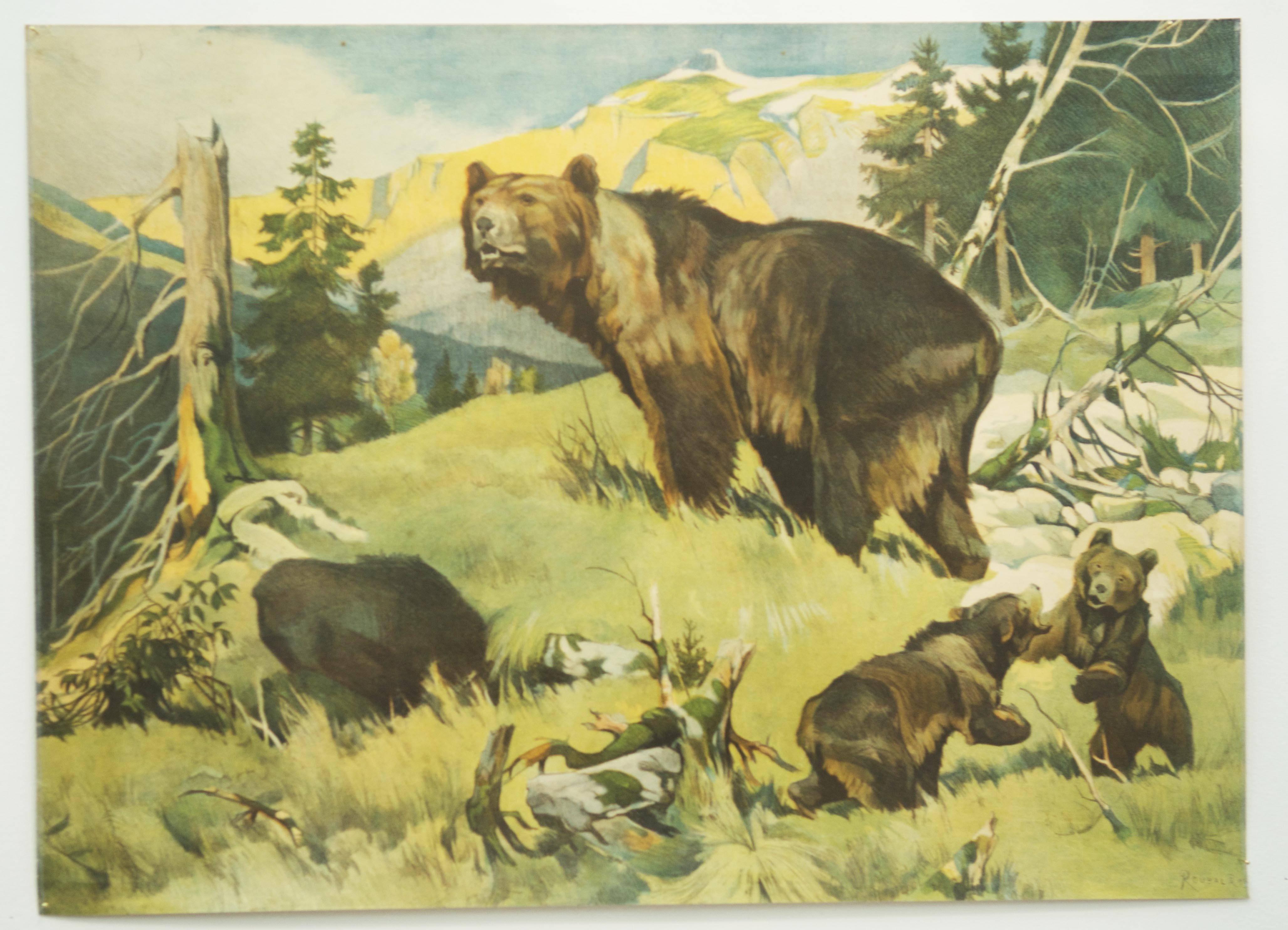 Great old wall chart depicting "bears family." The chart is drawn by Franz Roubal in the 1930s and published as school wall chart by Leipziger Schulbildverlag. Colorful print on paper.
Good original condition, age-related traces of usage,