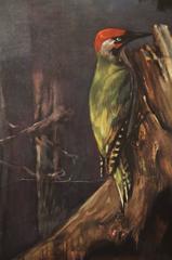 Austrian School, Teaching Chart, Poster "Woodpeckers"