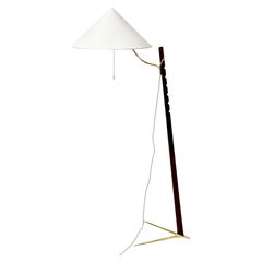Rare Adjustable Midcentury Floor Lamp by Rupert Nikoll
