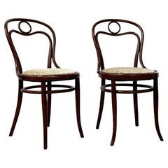 Vienna Secession Thonet Nr. 31 Beech Bentwood Dining Chair