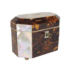 19th Century English Tea Caddy of Mother-of-pearl and Tortoise Shell