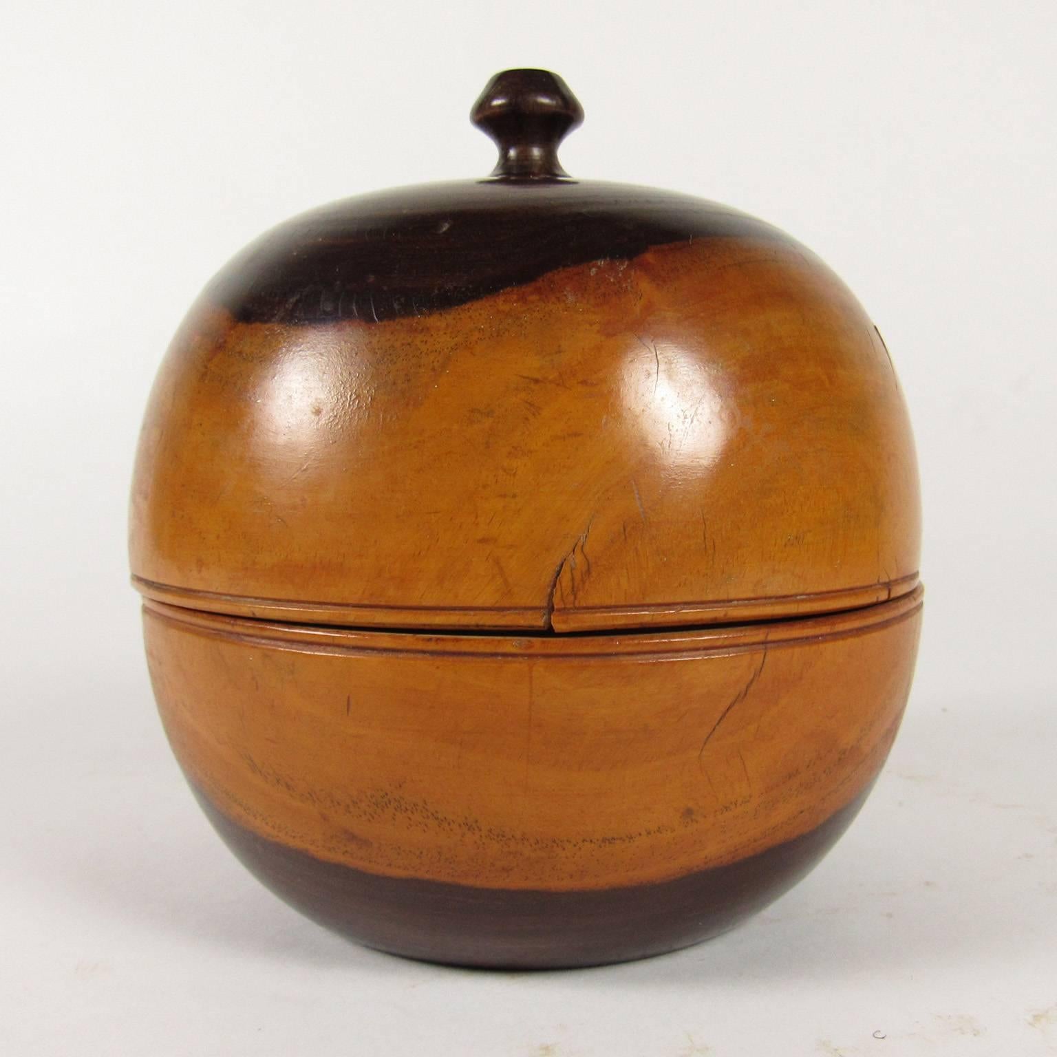19th century lignum vitae treen round tea caddy. Measures: Height: 5 3/4 inches, diameter: 5 inches.