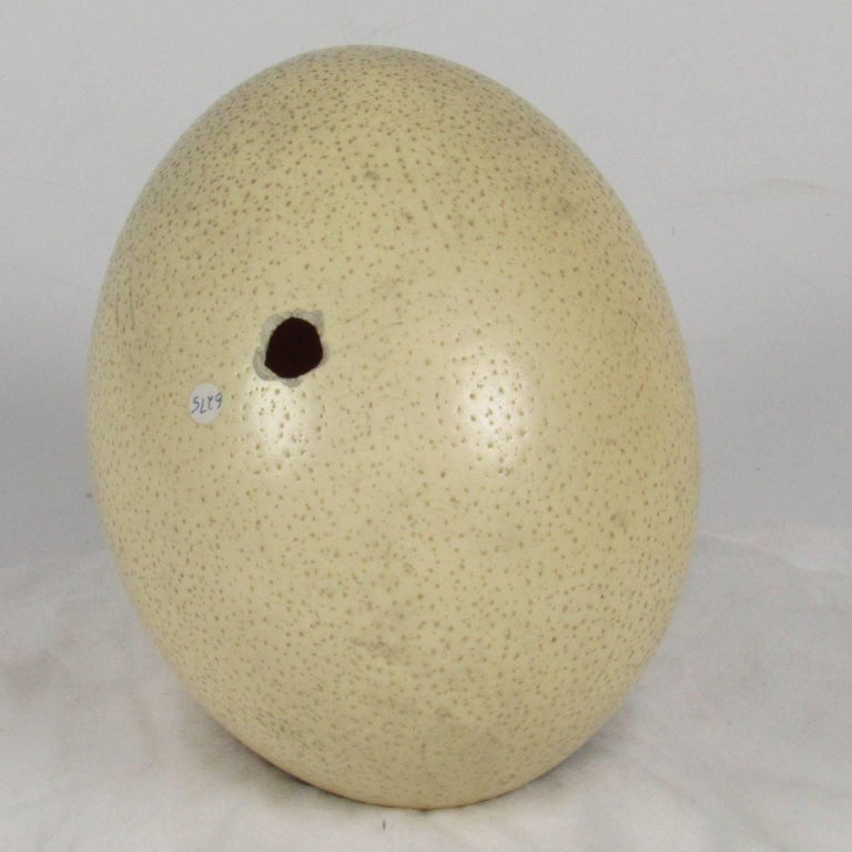 Vintage HandPainted Ostrich Egg For Sale at 1stdibs