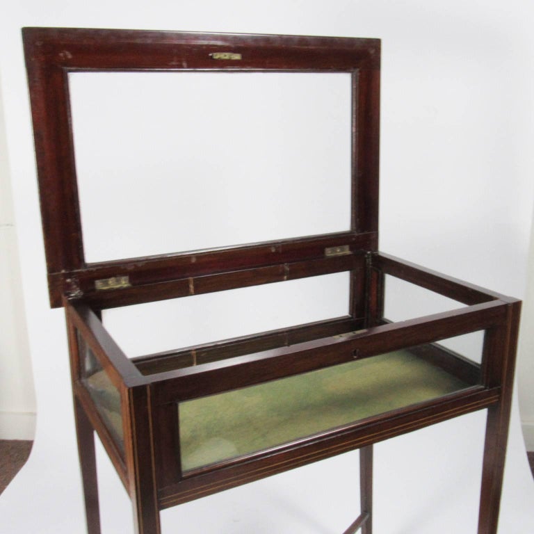 Vintage Inlaid Mahogany Vitrine Table For Sale at 1stDibs