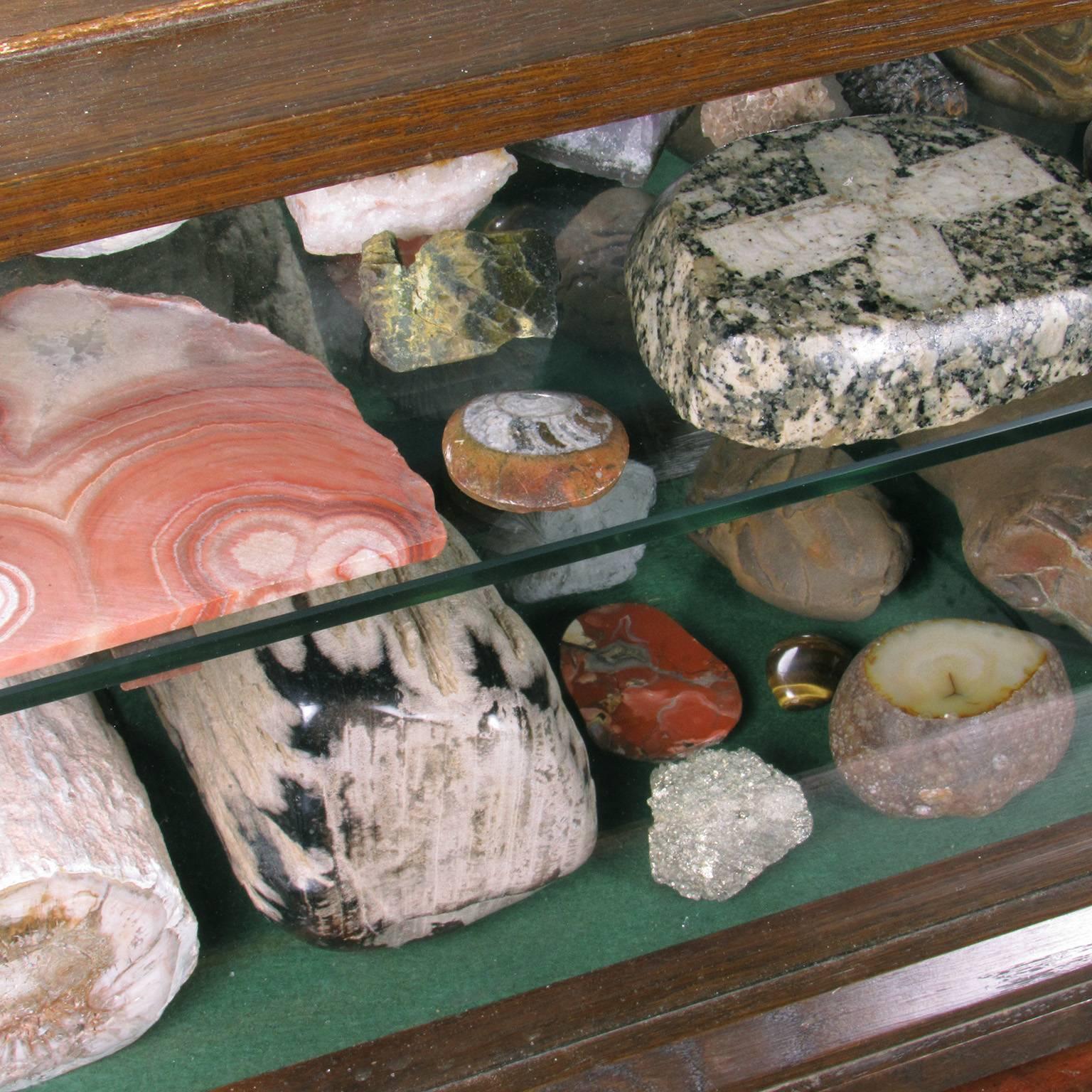 English Specimen Collection with 19th Century Mahogany and Glass Vitrine 3