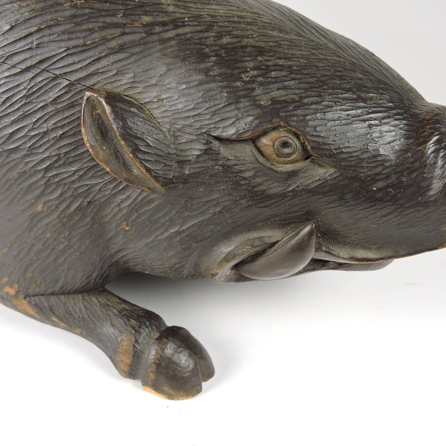 German 19th Century Black Forest Carved Figure of a Pig