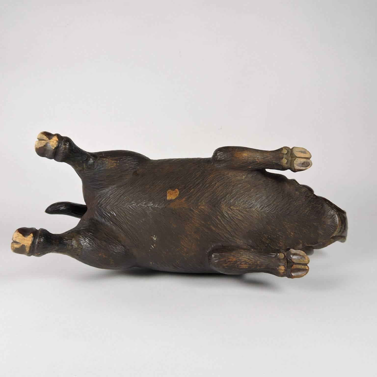 19th Century Black Forest Carved Figure of a Pig In Good Condition In Concord, MA