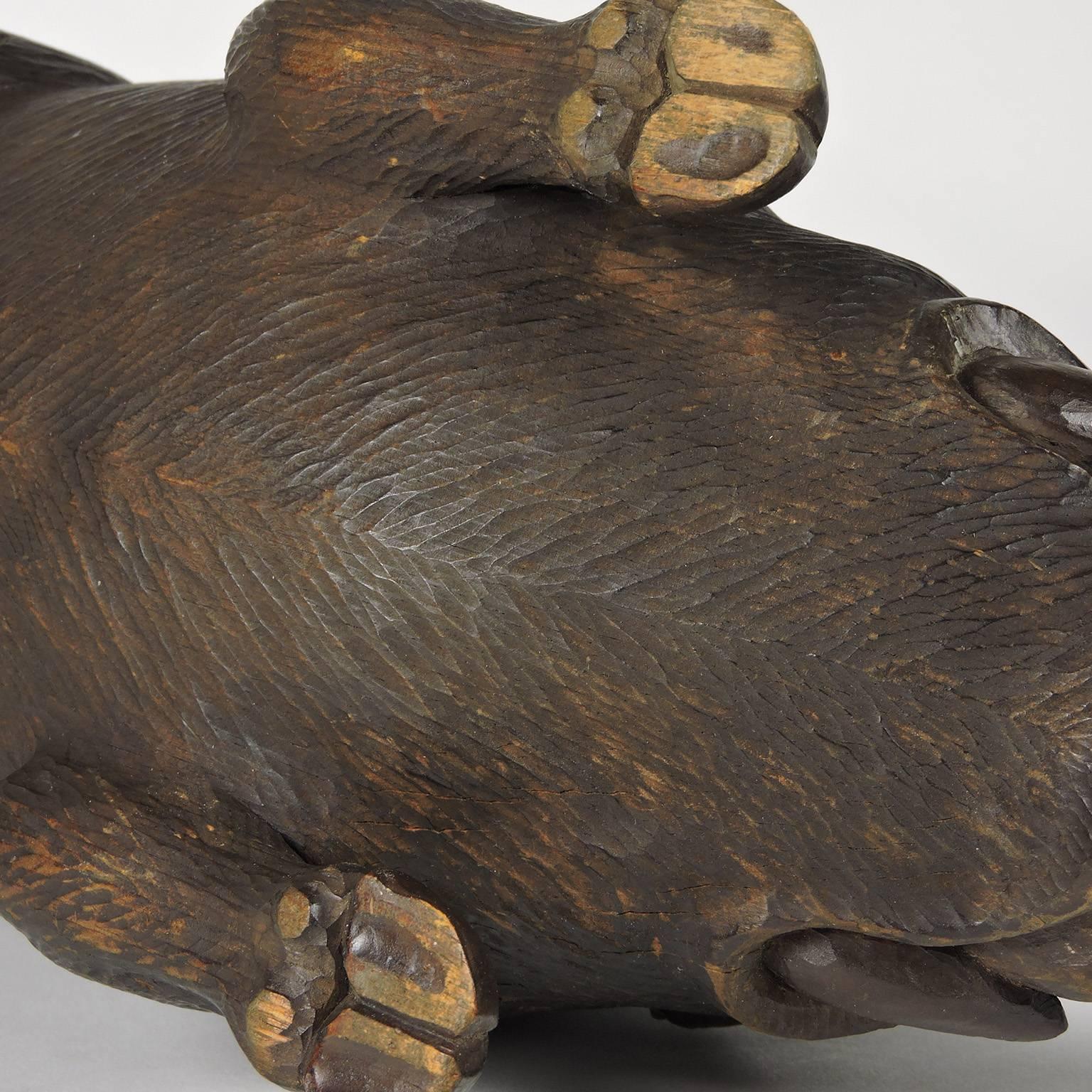 19th Century Black Forest Carved Figure of a Pig 1