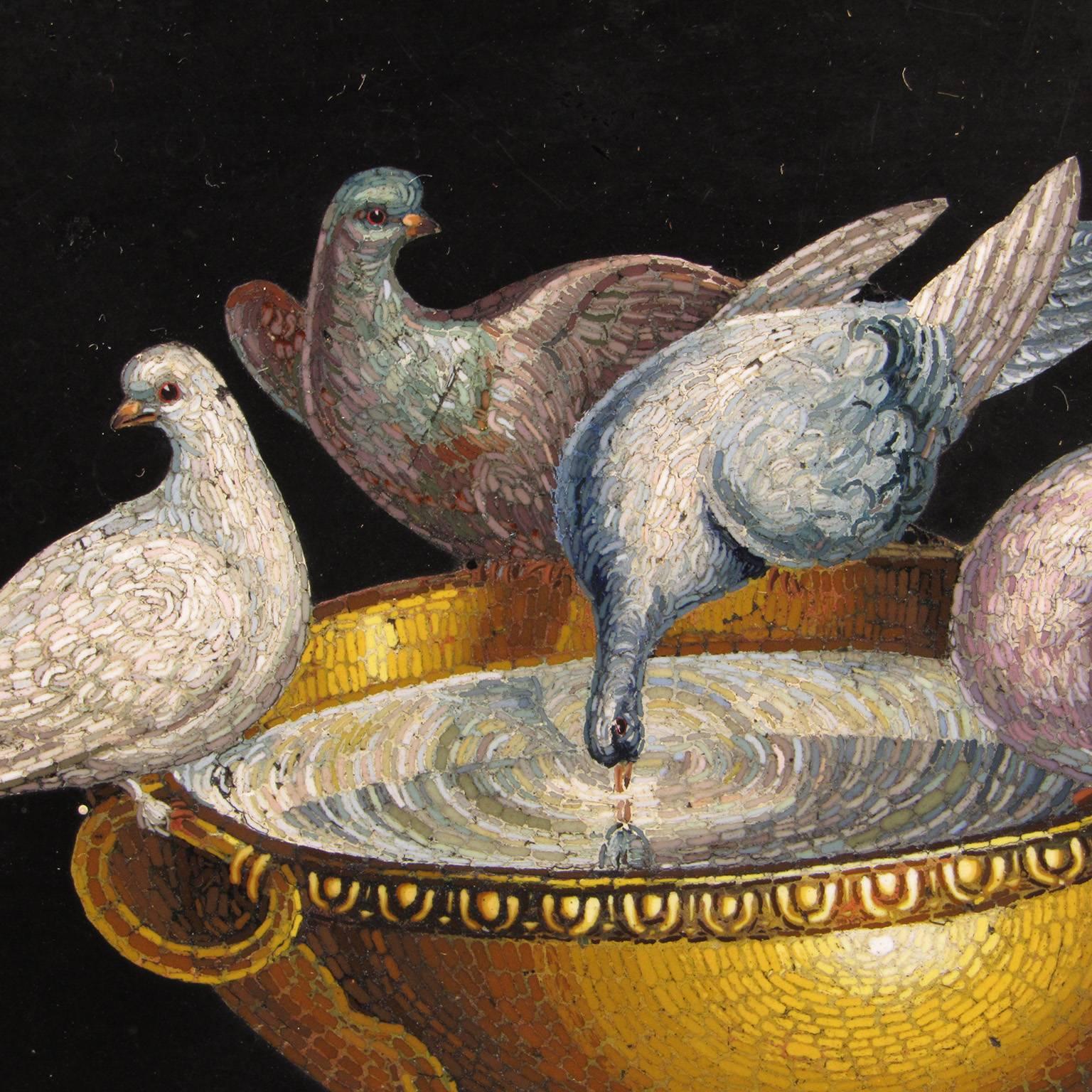doves of pliny
