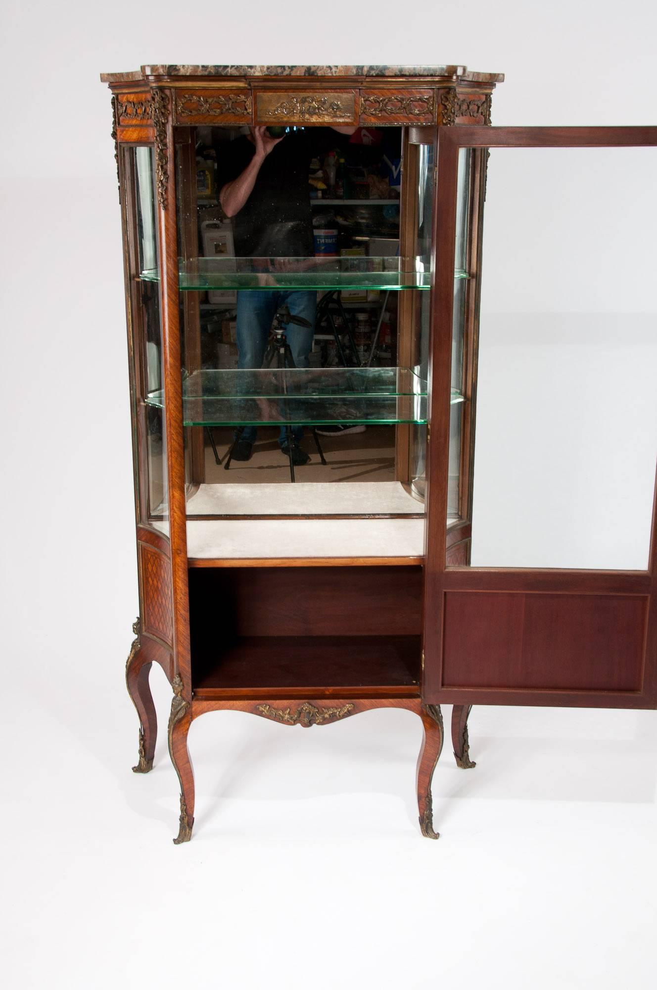 Exceptional Kingwood 19th Century Parquetry Concave Shape Vitrine 1