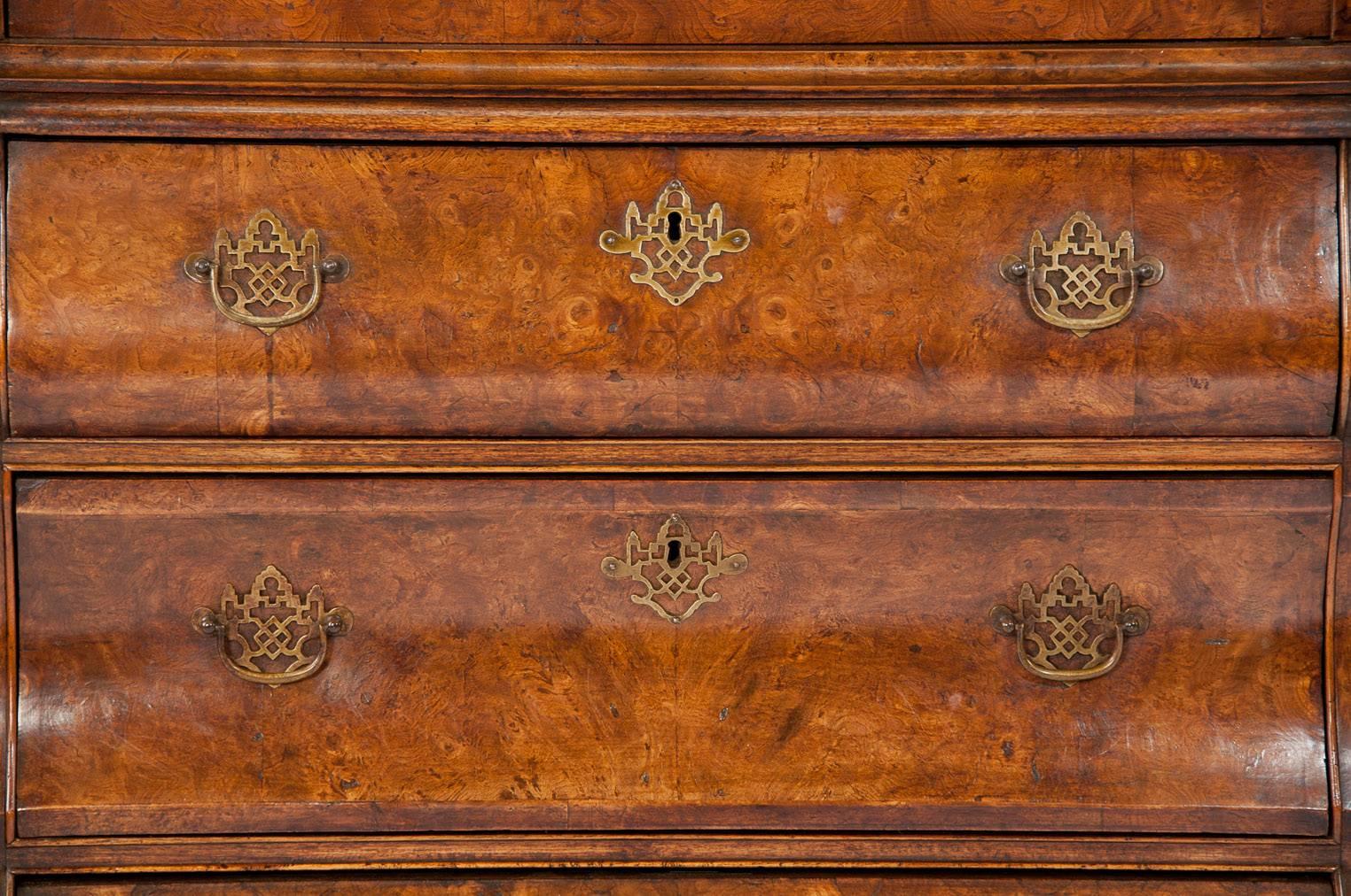 Antique Dutch Burr Elm Bombay Display Cabinet 1