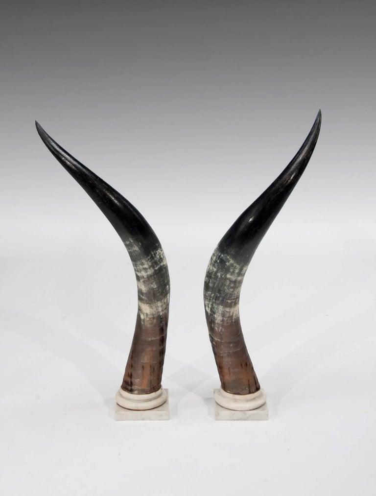 Large Decorative Pair Of Antique Marble Mounted Longhorn Steer