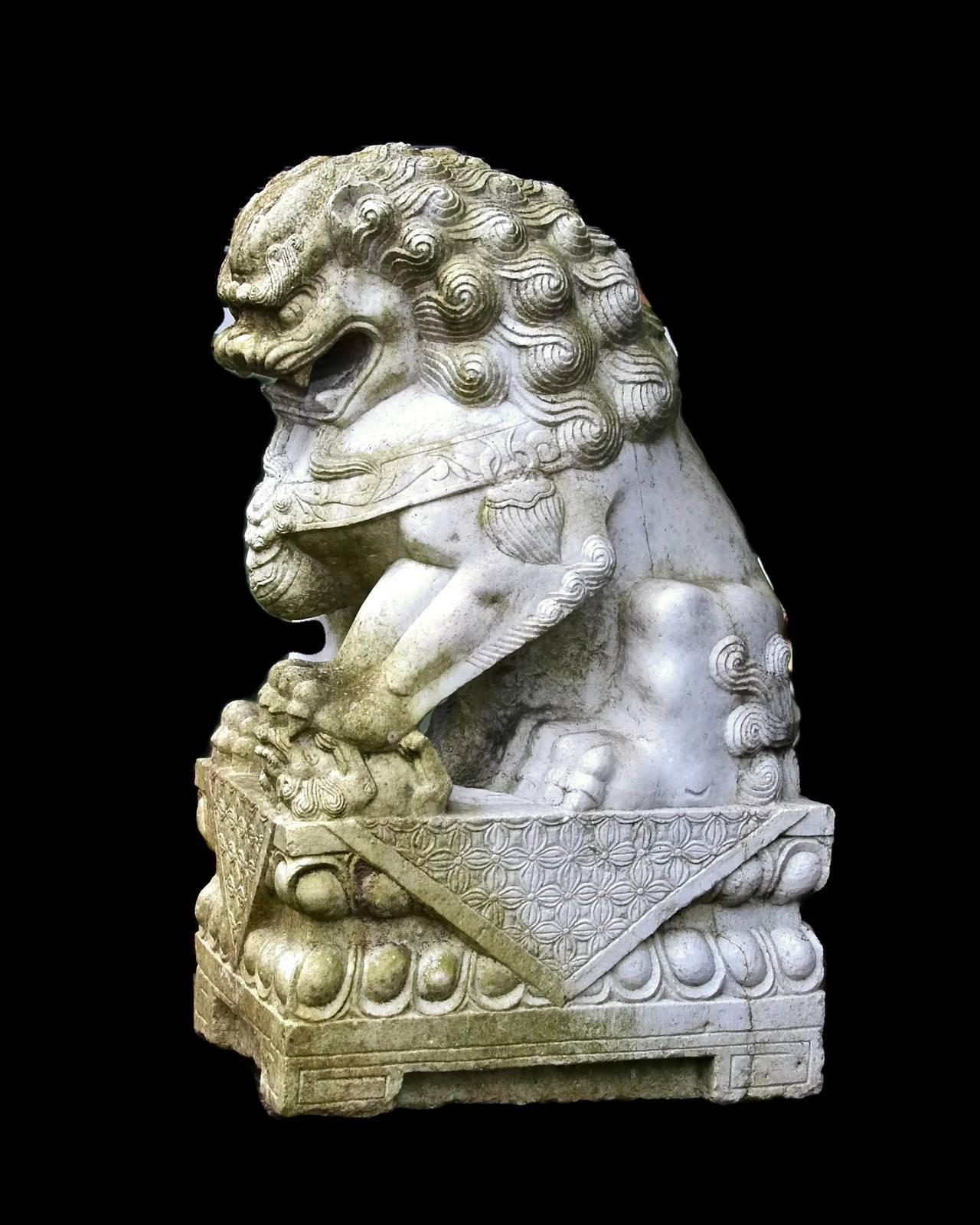 Antique Pair of 19th Century Chinese Hand-Carved White Marble Guardian Foo Lions In Good Condition In Cincinnati, OH