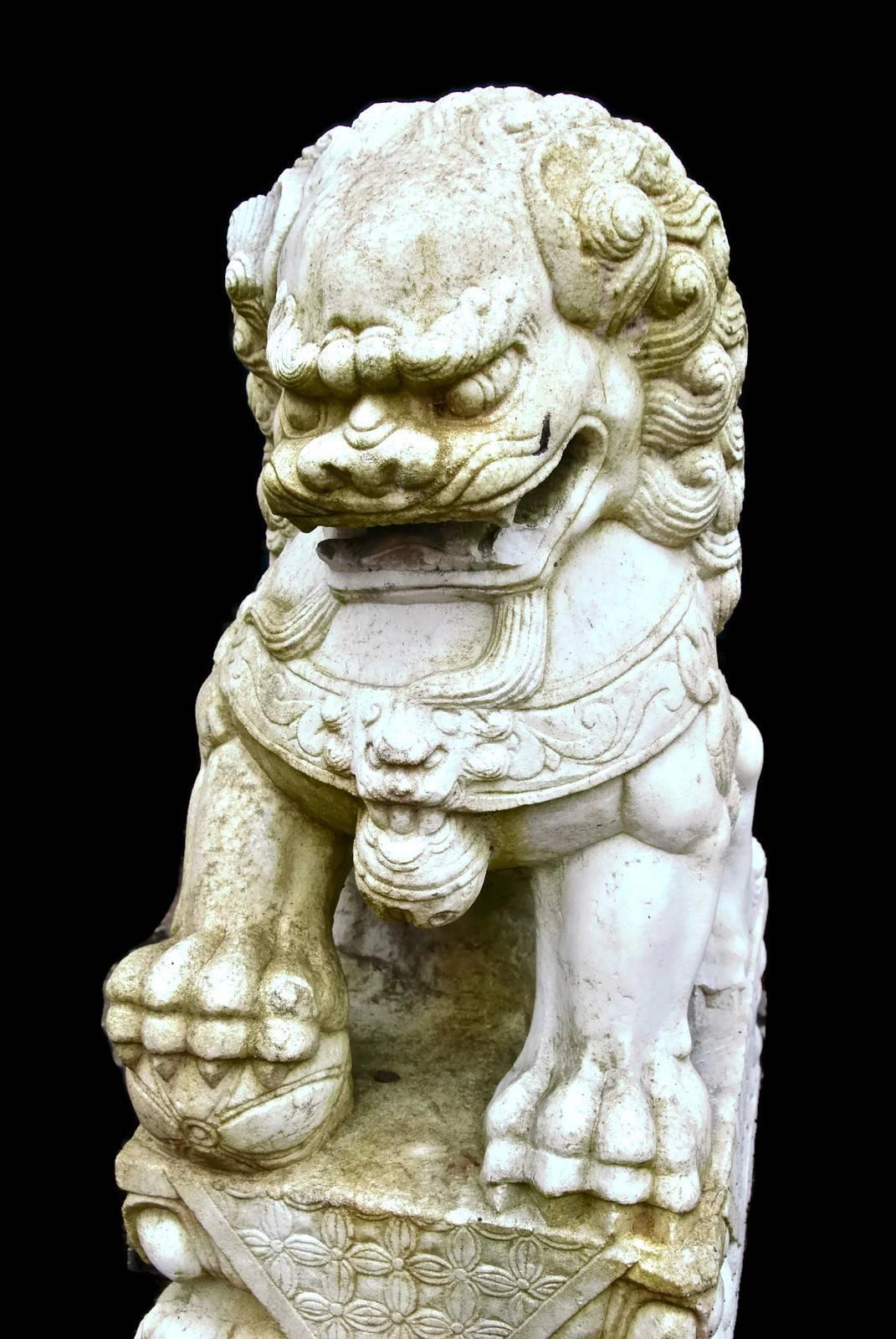 Antique Pair of 19th Century Chinese Hand-Carved White Marble Guardian Foo Lions 1