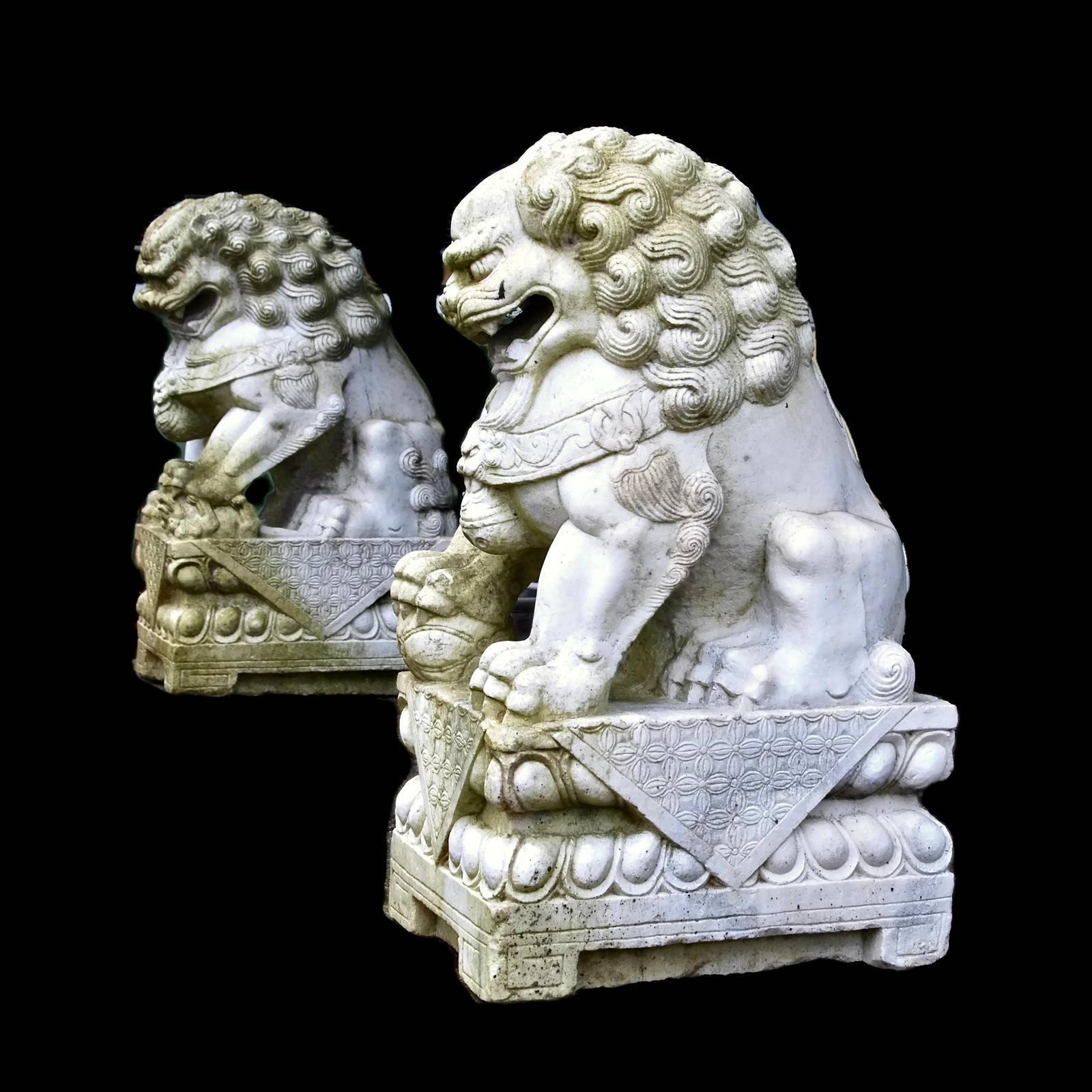 This substantial pair of antique Chinese foo lions are hand-carved from white marble and have a traditional form. Understood to have protective qualities, foo lions are typically seen at the entrance of Chinese temples and Imperial buildings as well