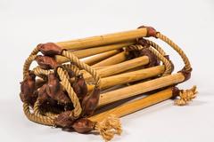 Belgian Rope and Leather Gymnasium Ladder