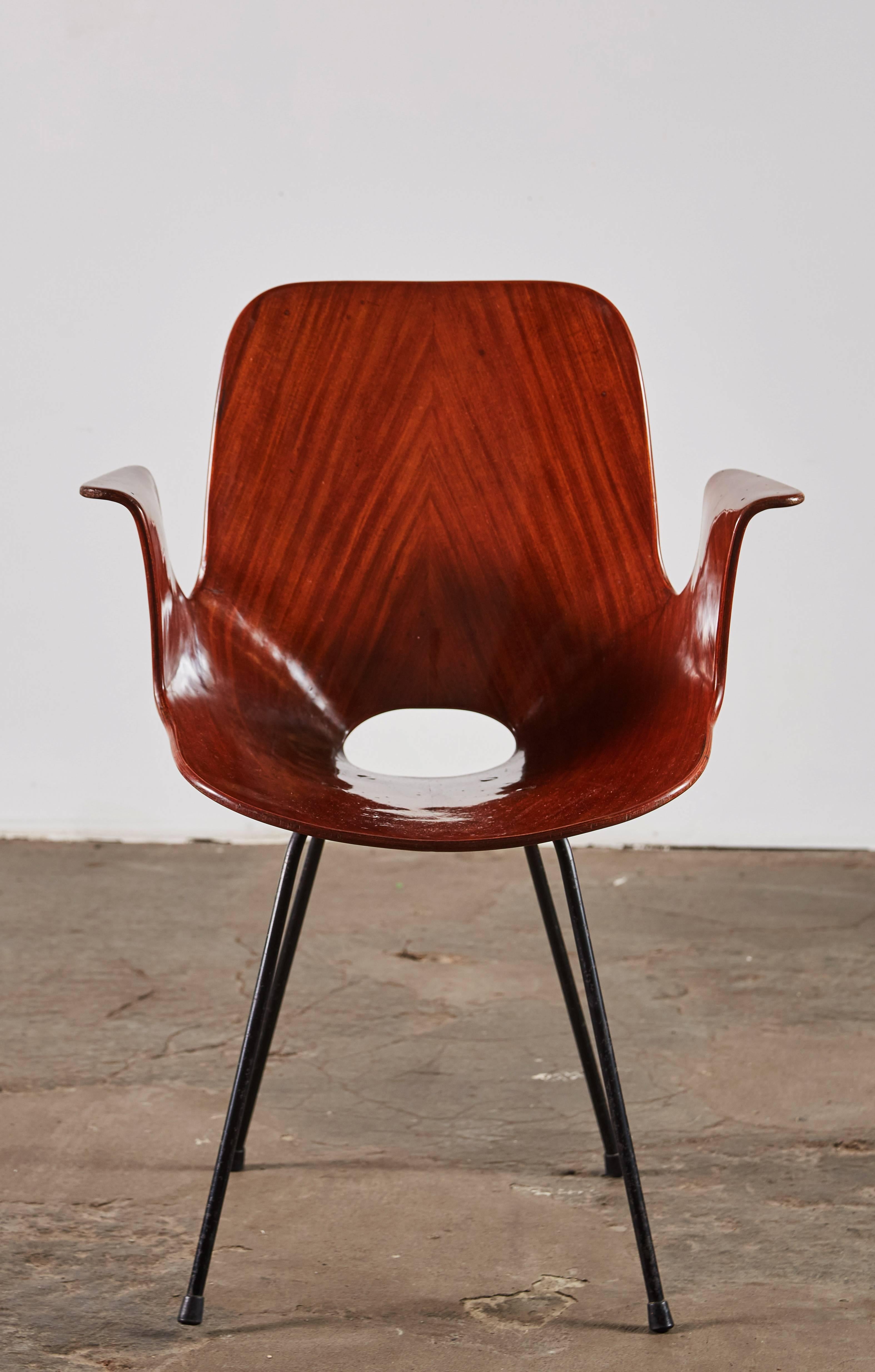 Mahogany bentwood Medea armchair by Vittorio Nobili for Fratelli Tagliabue. Made in Italy, circa 1956.