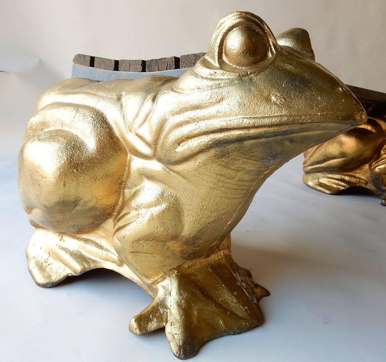 frog on bench