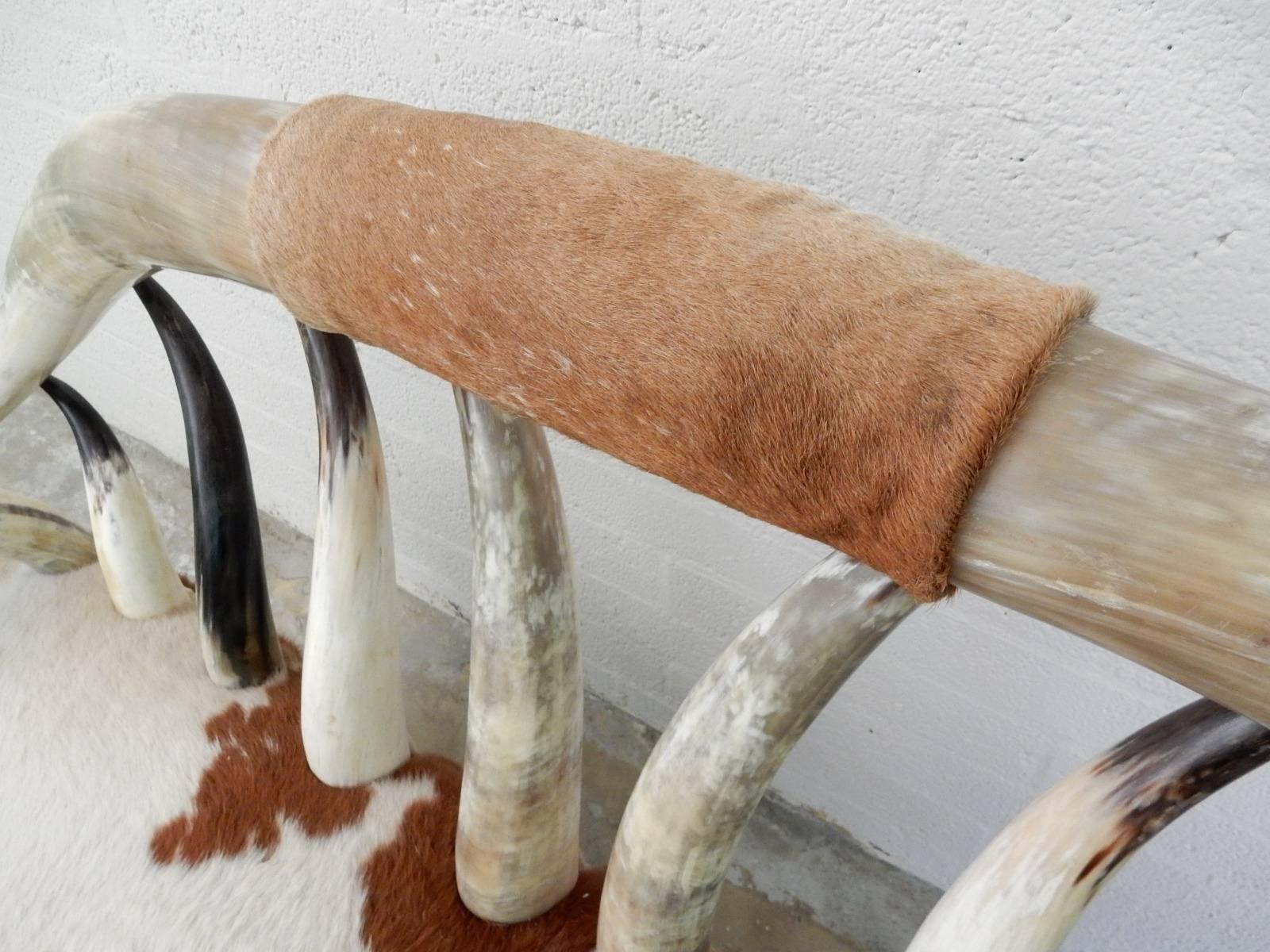 texas longhorn furniture