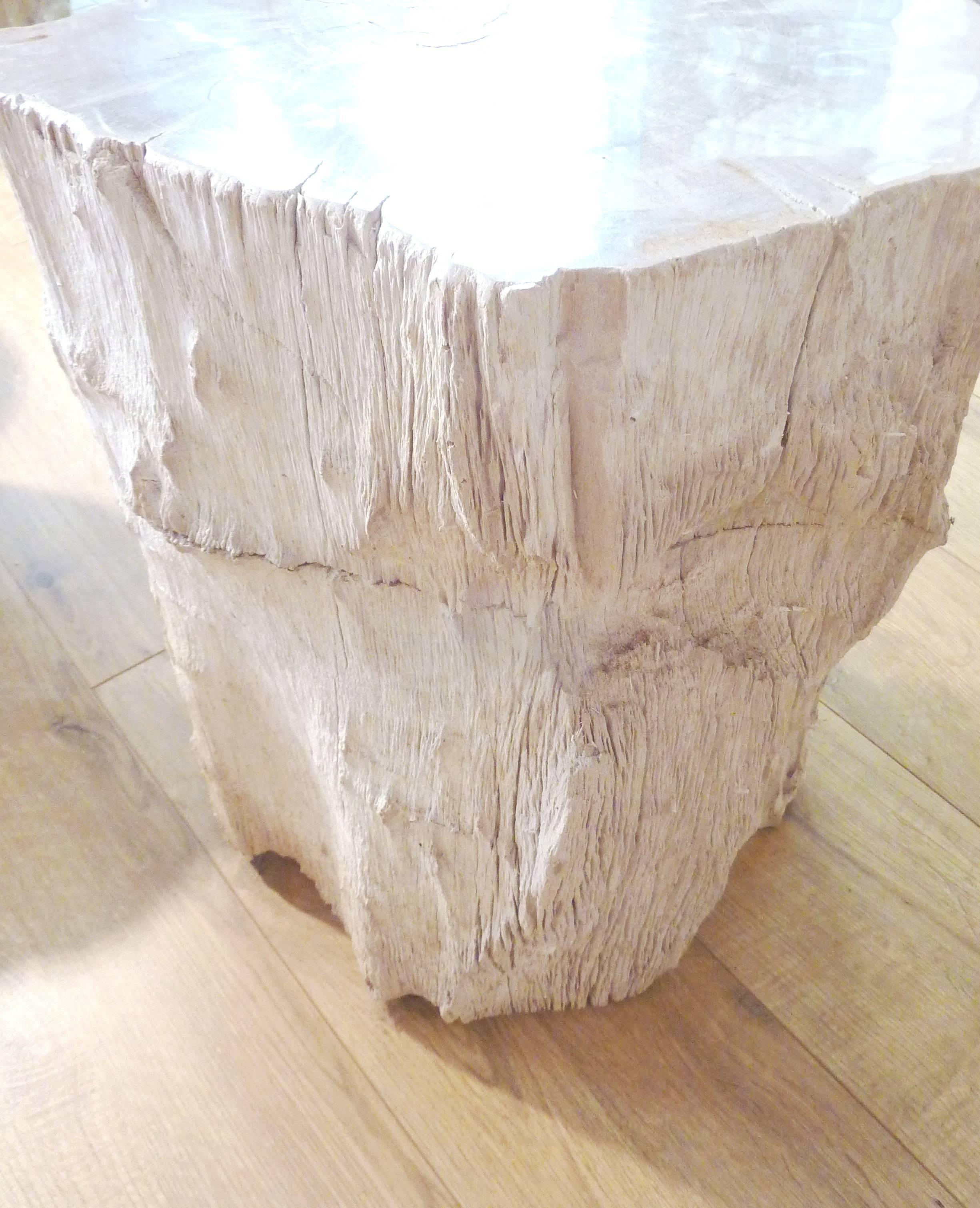 Indonesian Polished Petrified Wood Side Table