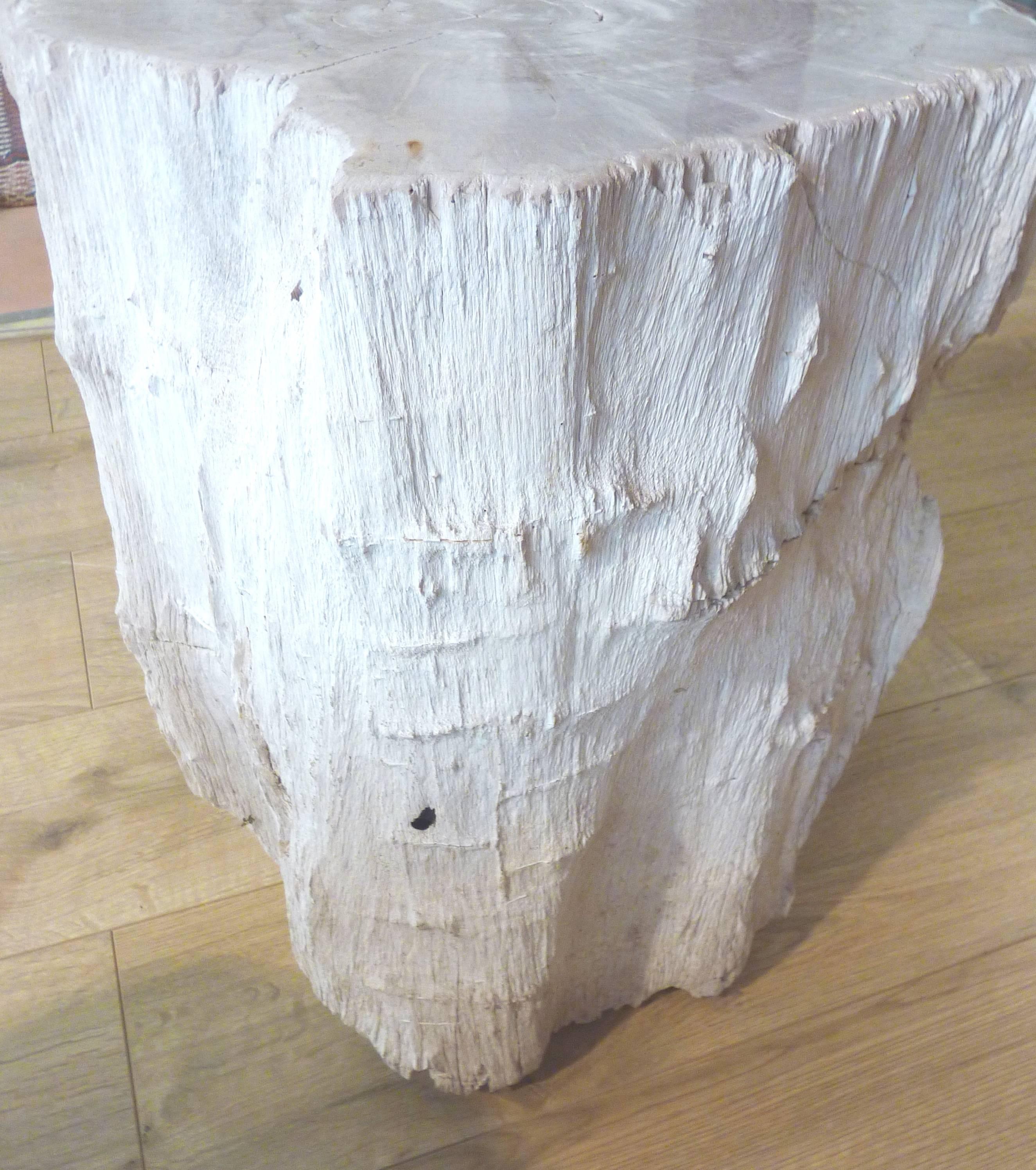 Polished Petrified Wood Side Table In Excellent Condition In Lyon, FR