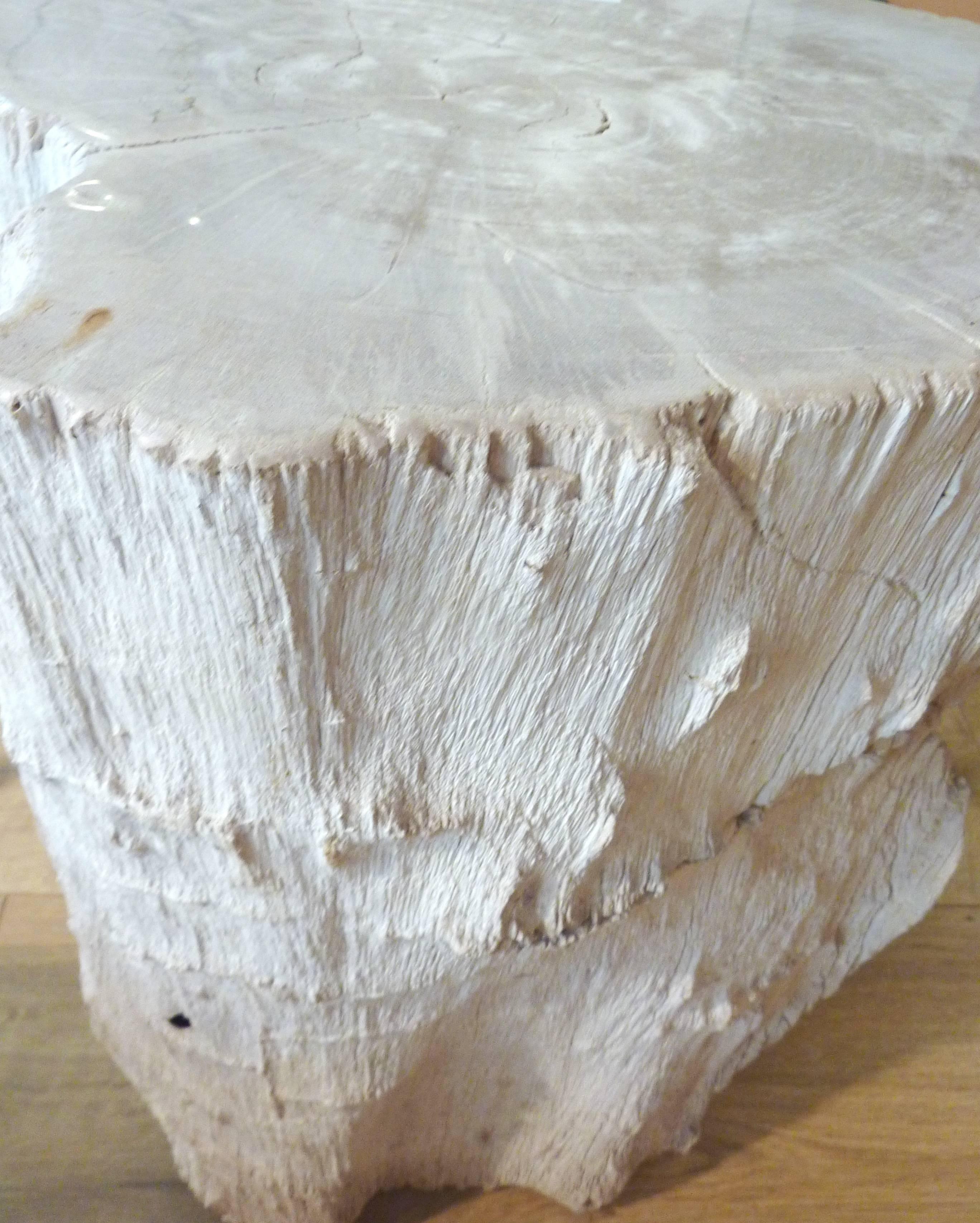 Polished Petrified Wood Side Table 1