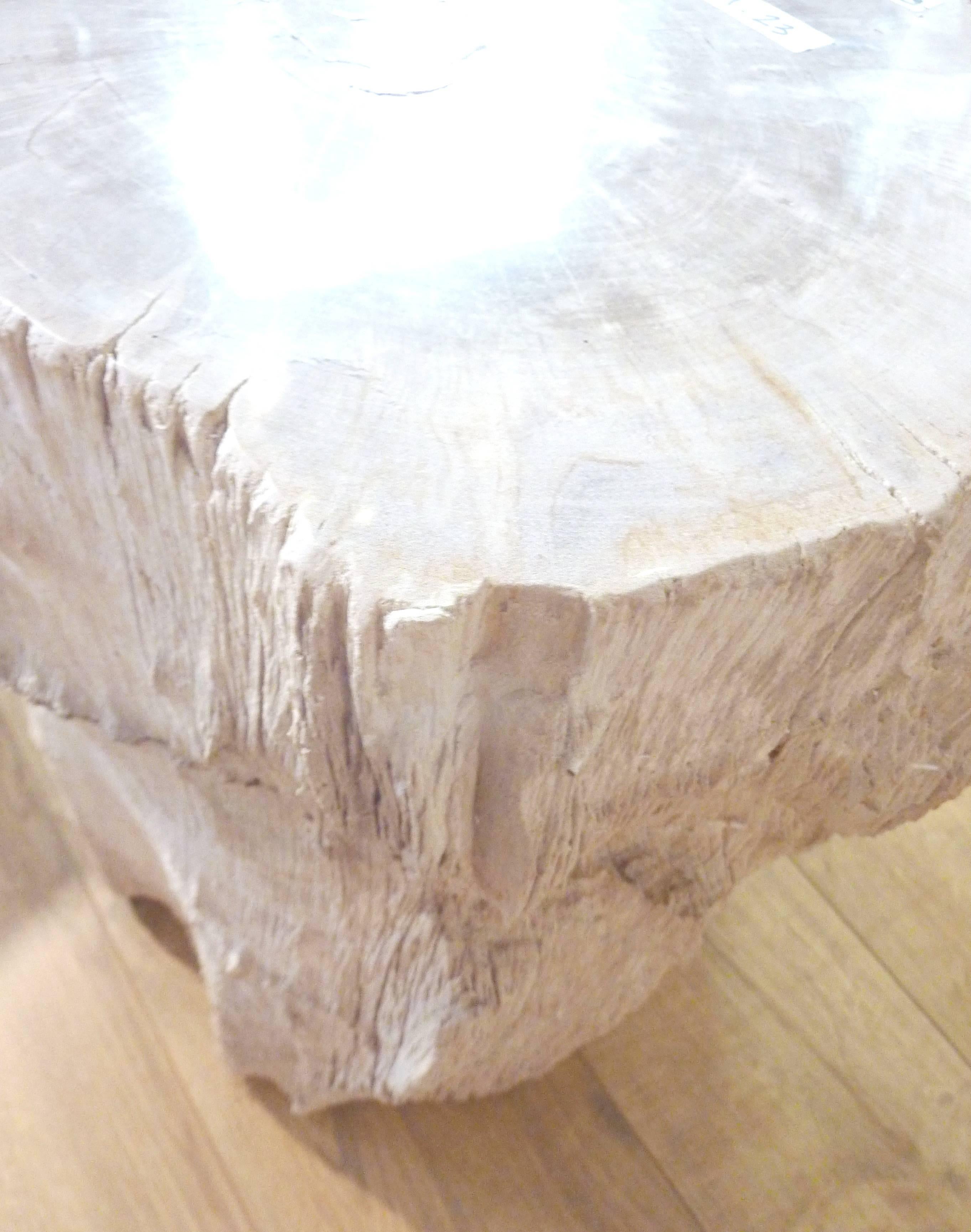 Polished Petrified Wood Side Table 2