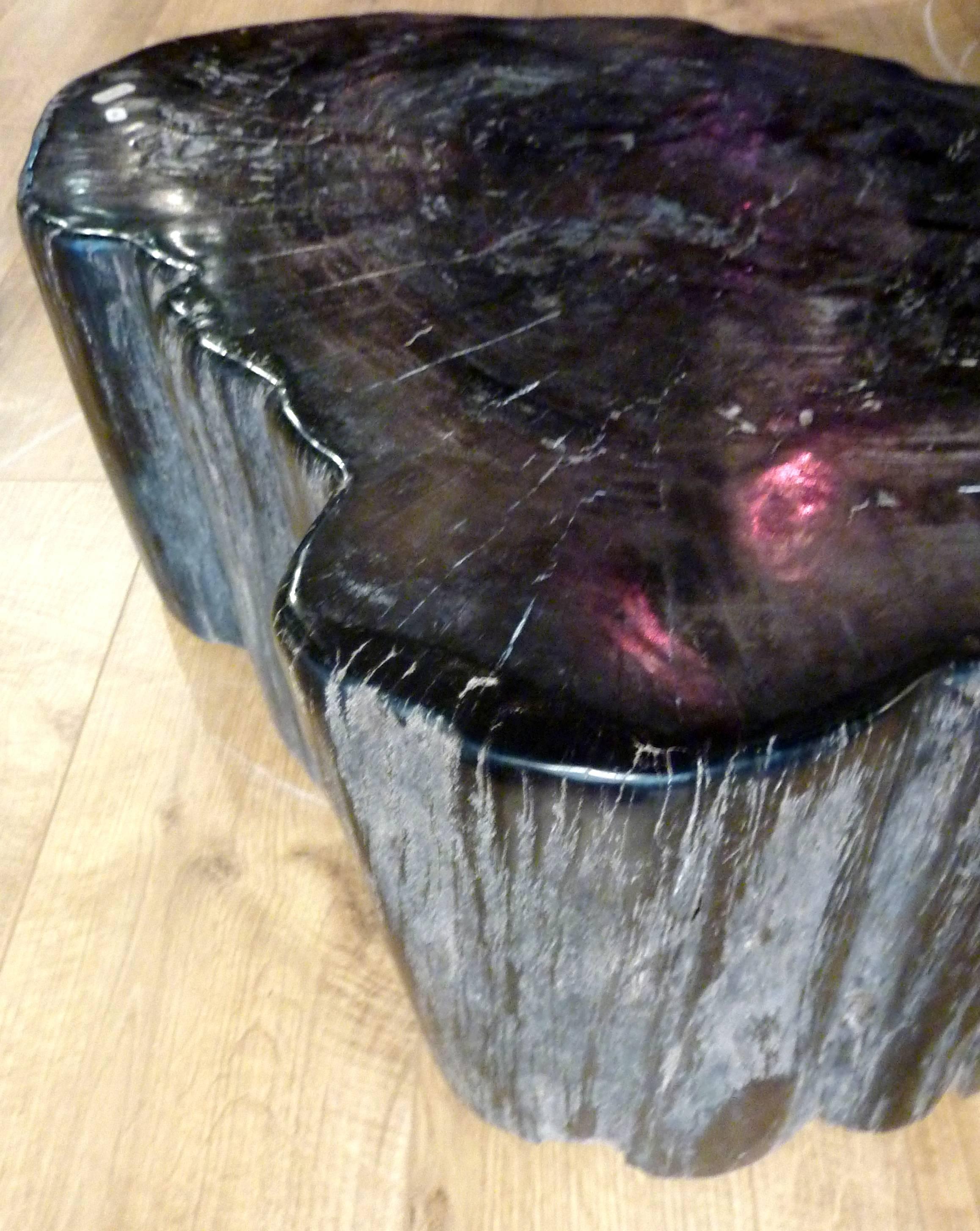 Indonesian Petrified Wood Table or Seat