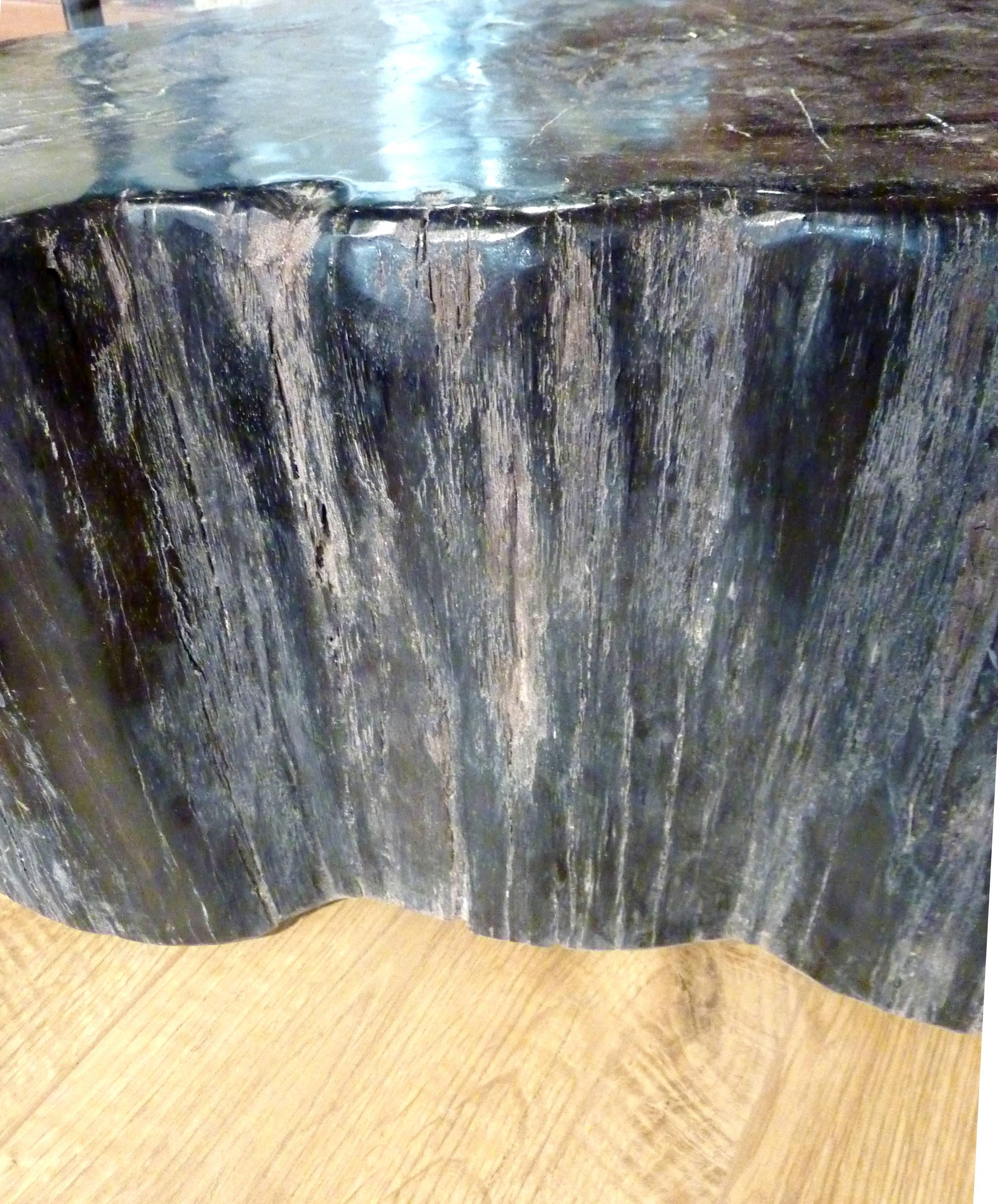 Petrified Wood Table or Seat In Excellent Condition In Lyon, FR