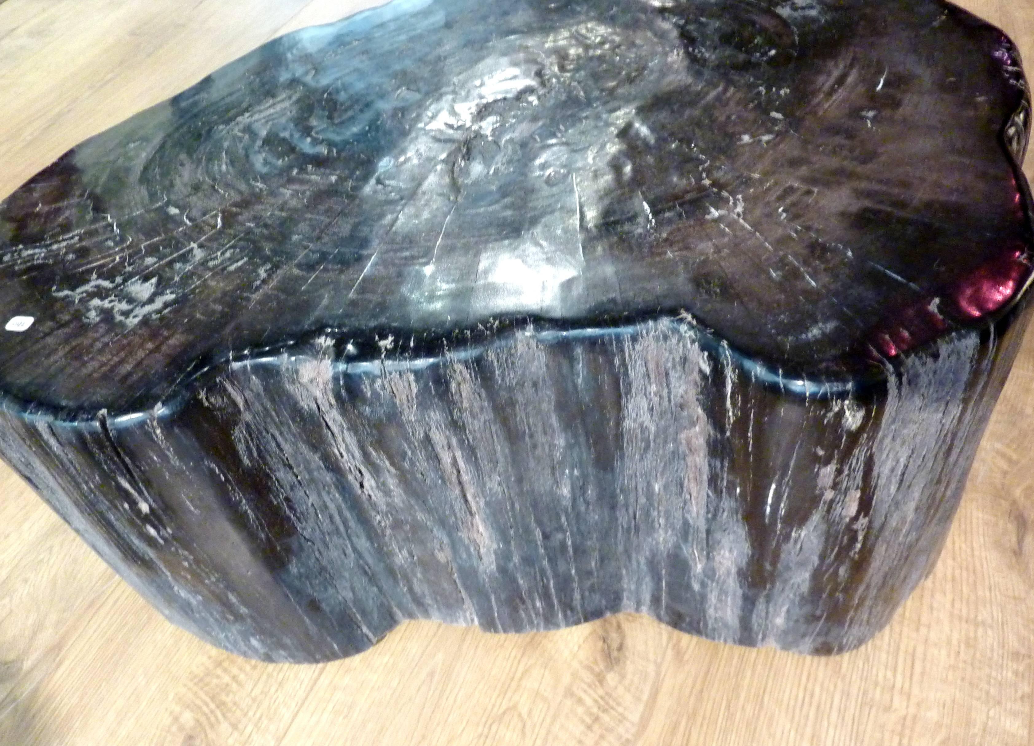 Contemporary Petrified Wood Table or Seat