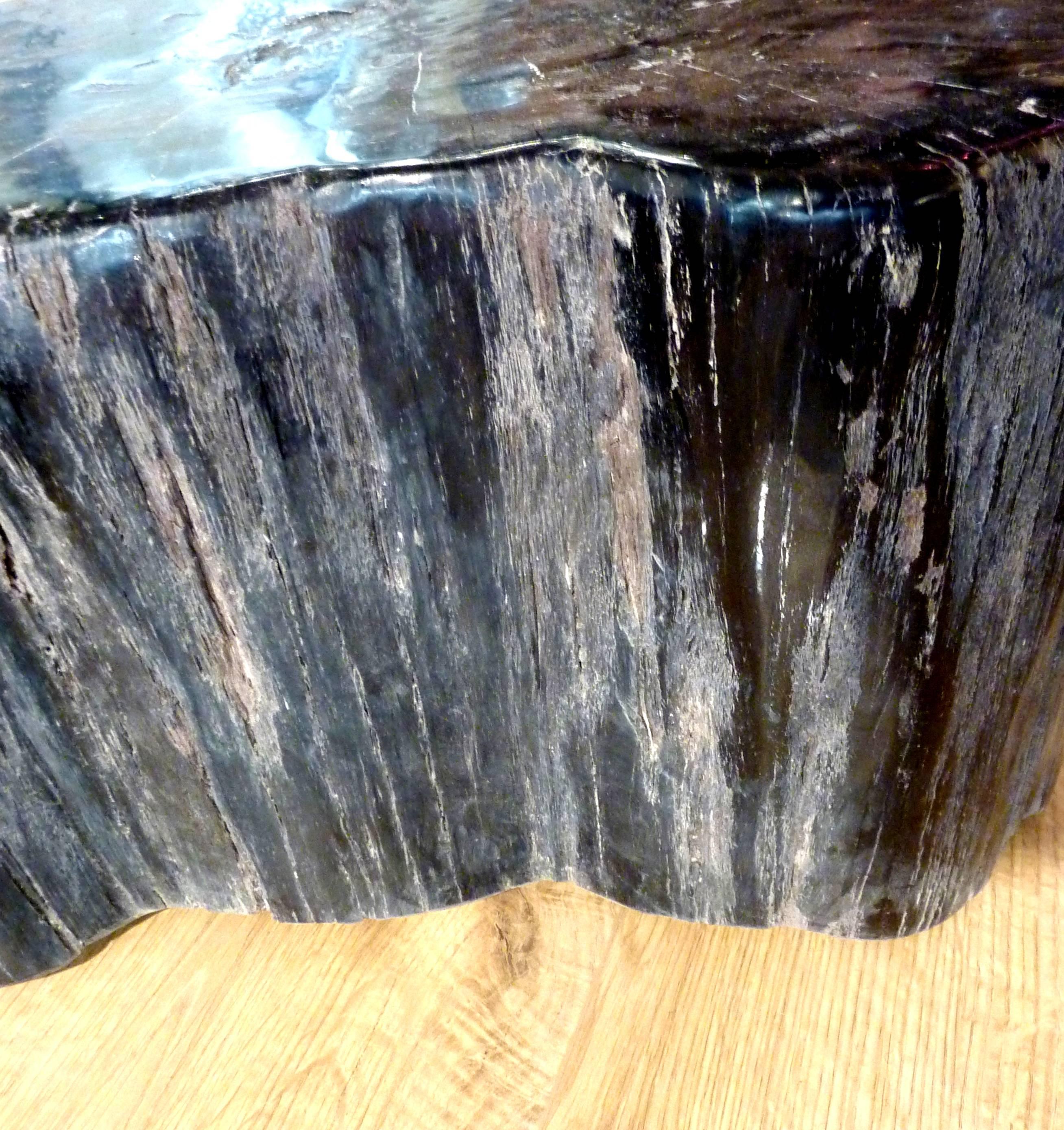 Petrified Wood Table or Seat 2