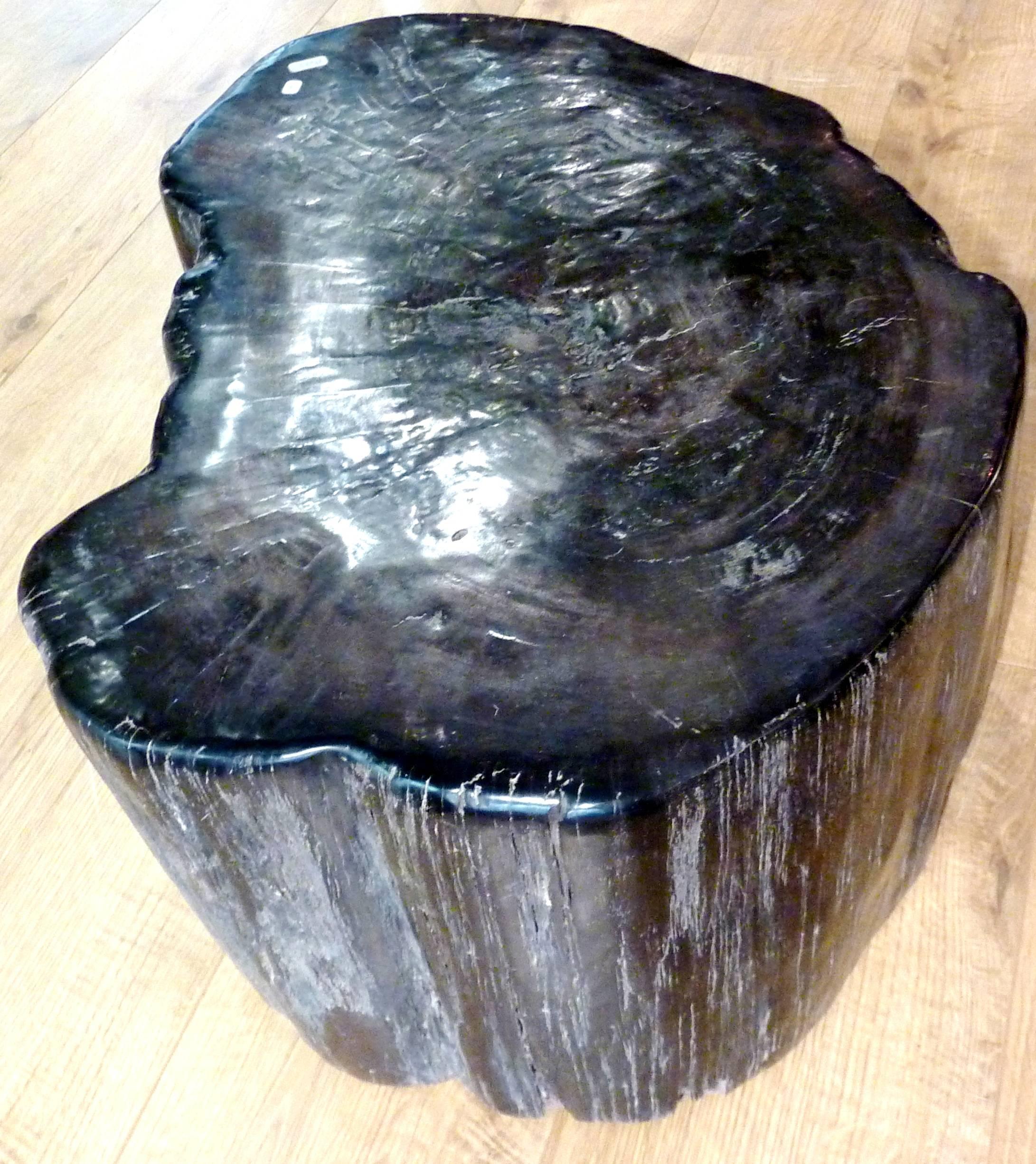 Petrified Wood Table or Seat 3