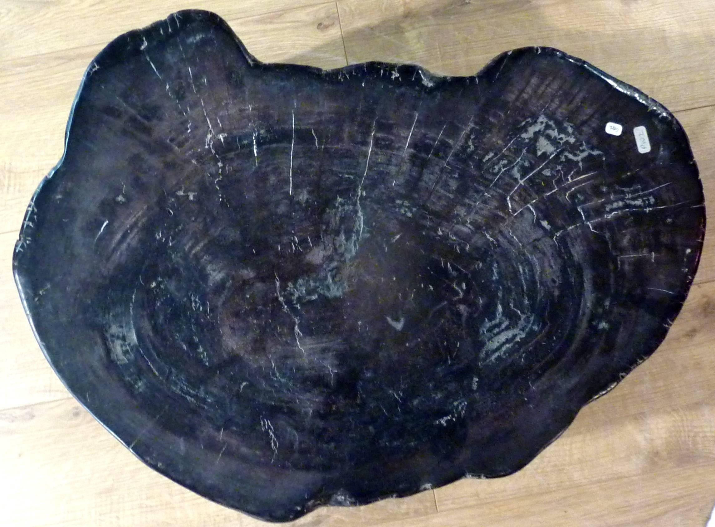 Petrified Wood Table or Seat 4