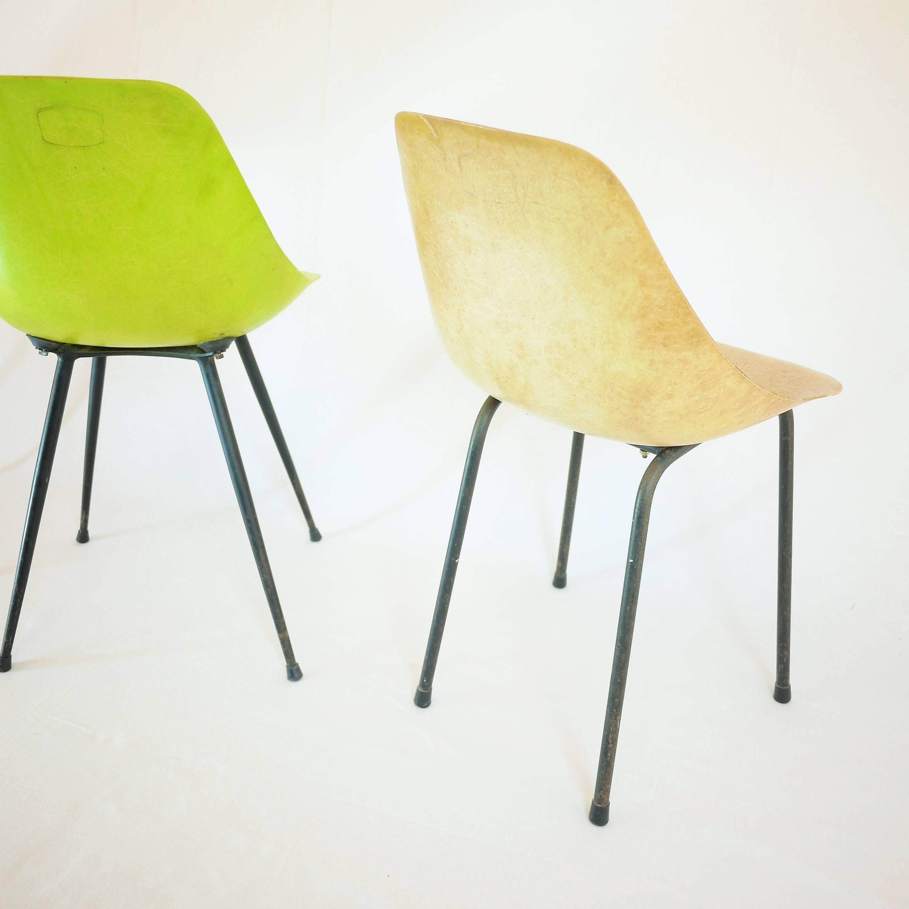 Set of Coccinelle Chairs by René-Jean Caillette, 1957 For Sale 2