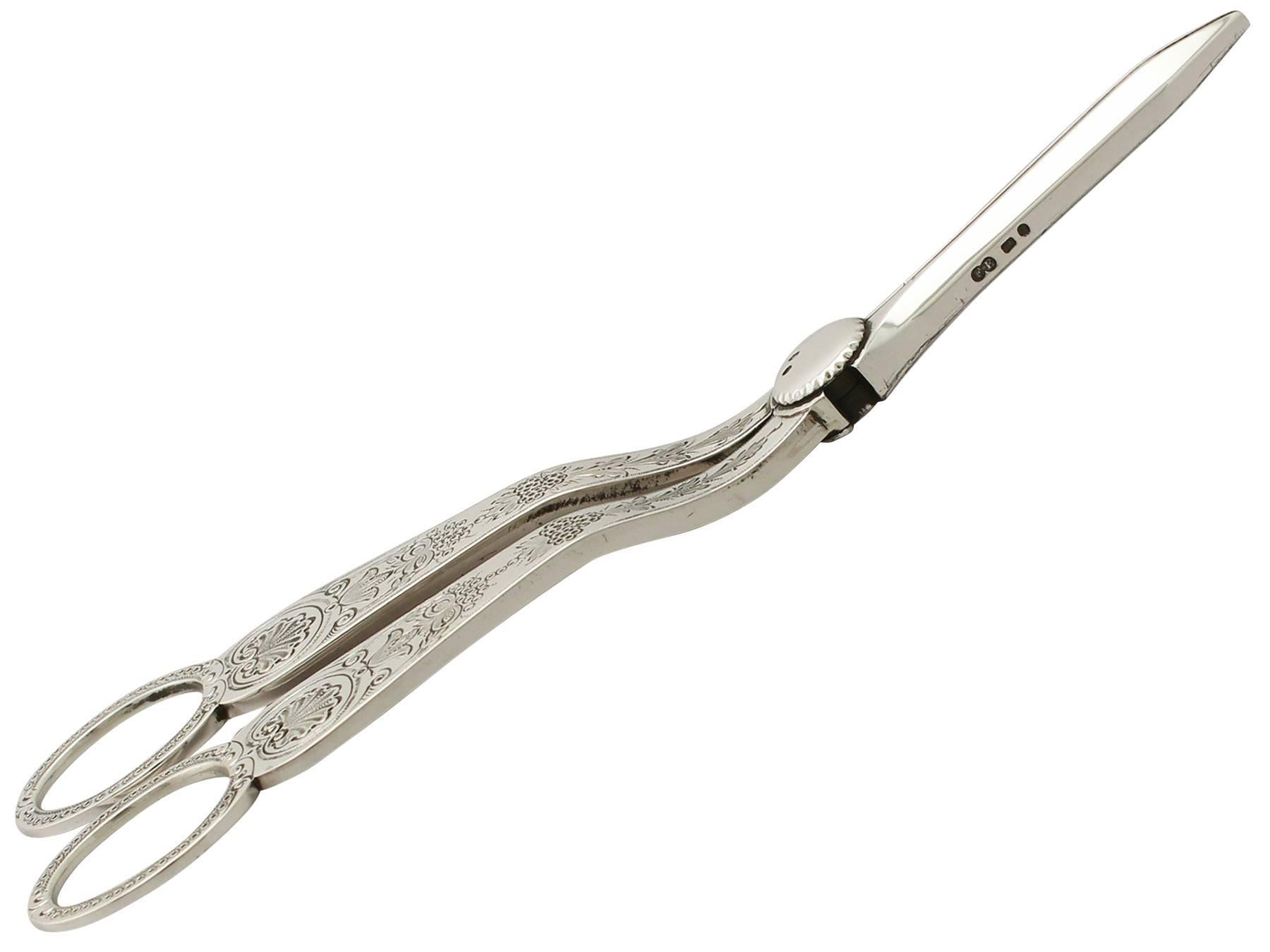 English Sterling Silver Grape Shears, Antique Victorian