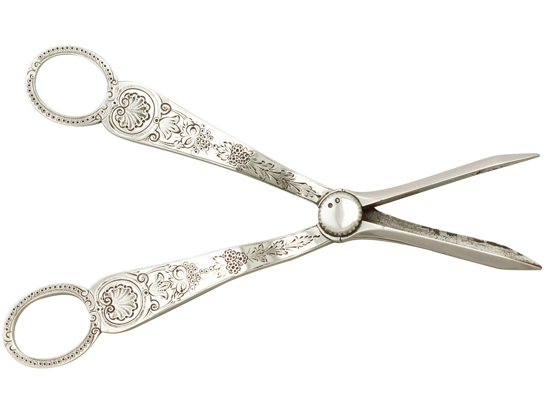 Late 19th Century Sterling Silver Grape Shears, Antique Victorian