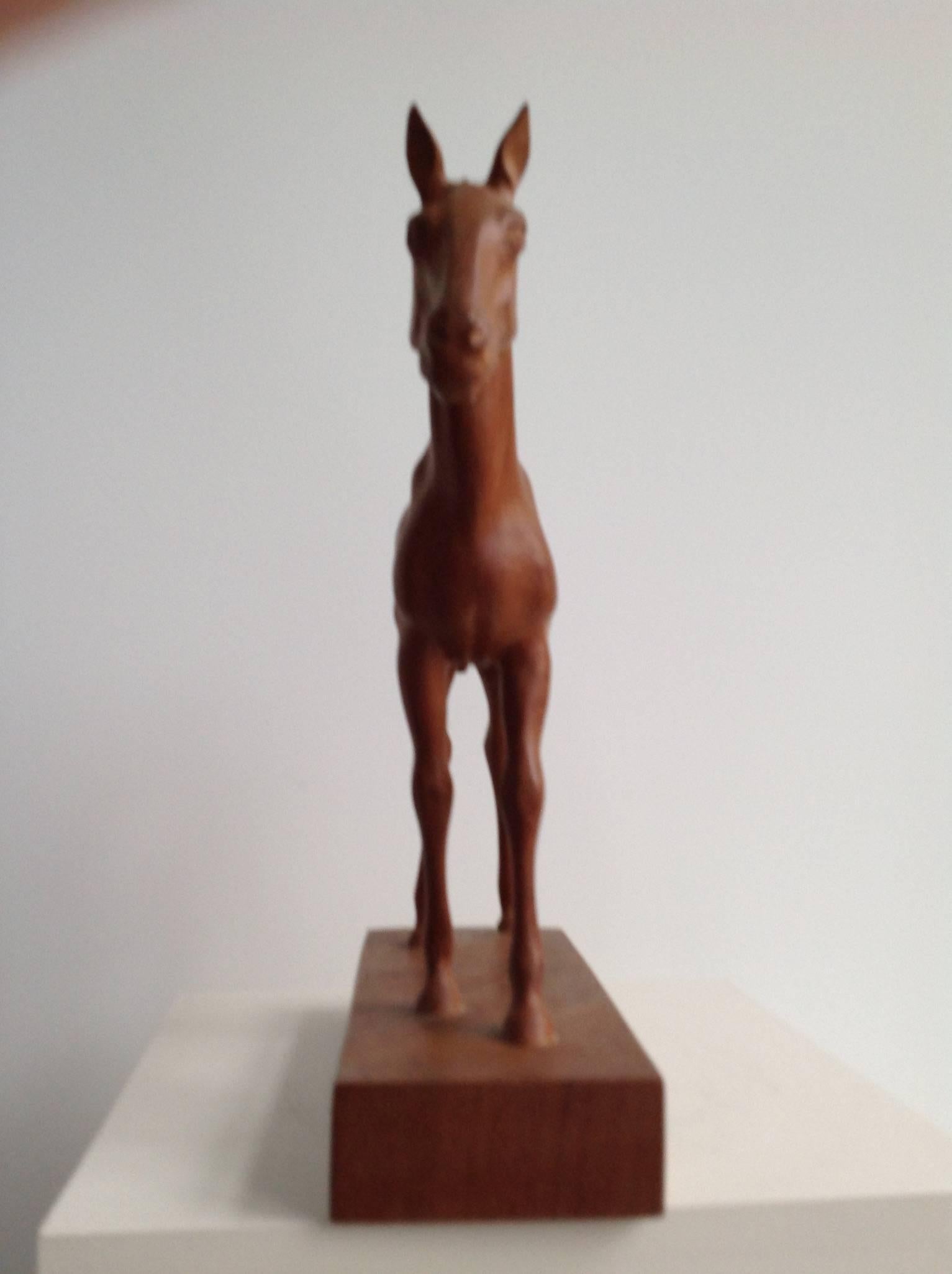 Modern Sculpture of a Foal by the Dutch Sculptor a. Remiëns For Sale