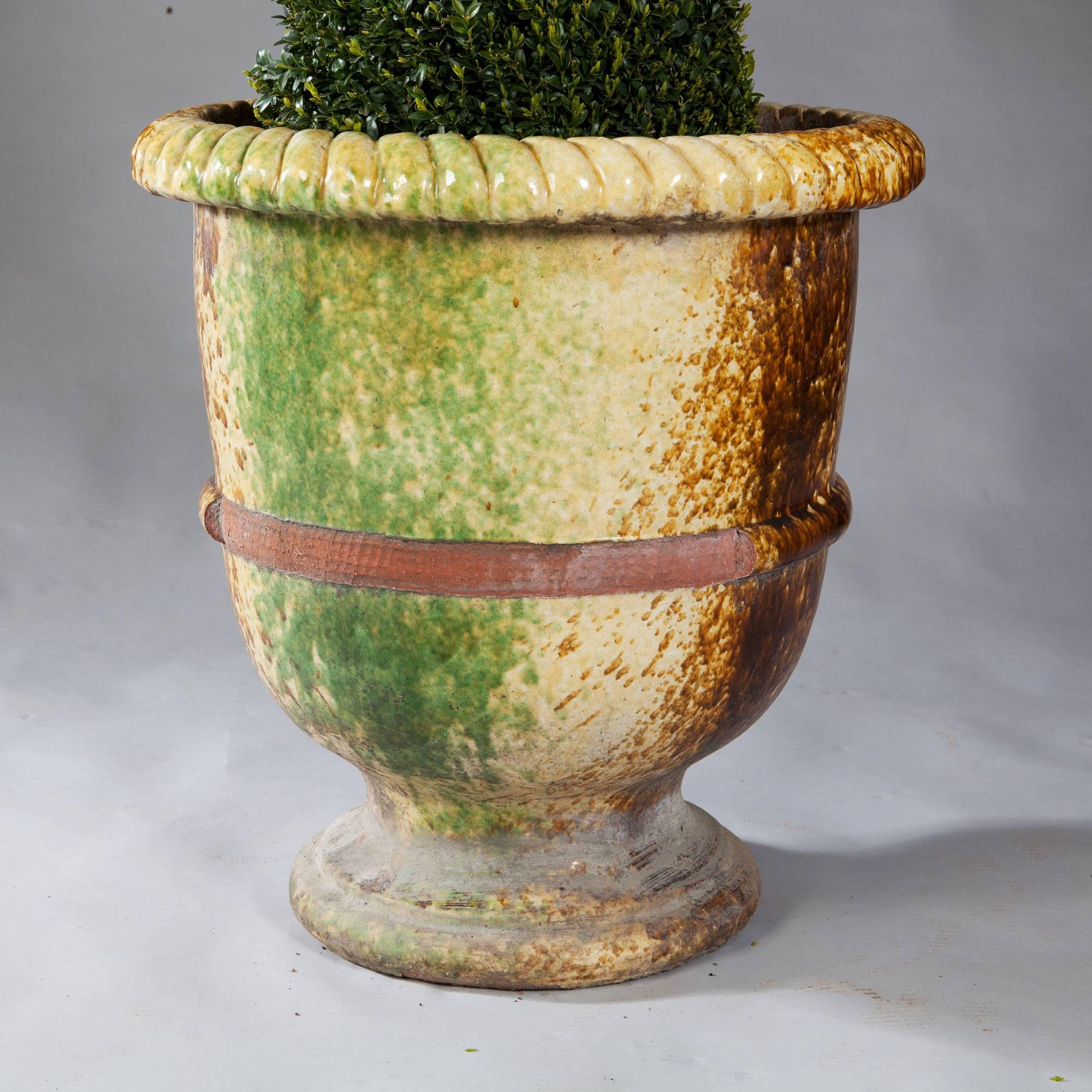 italian garden pots