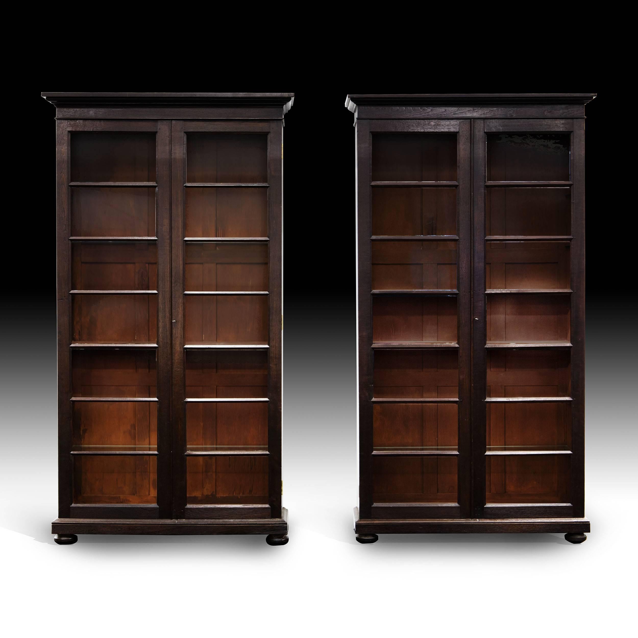 19th Century Pair of Anglo-Indian Glazed Display Cabinets or Bookcases