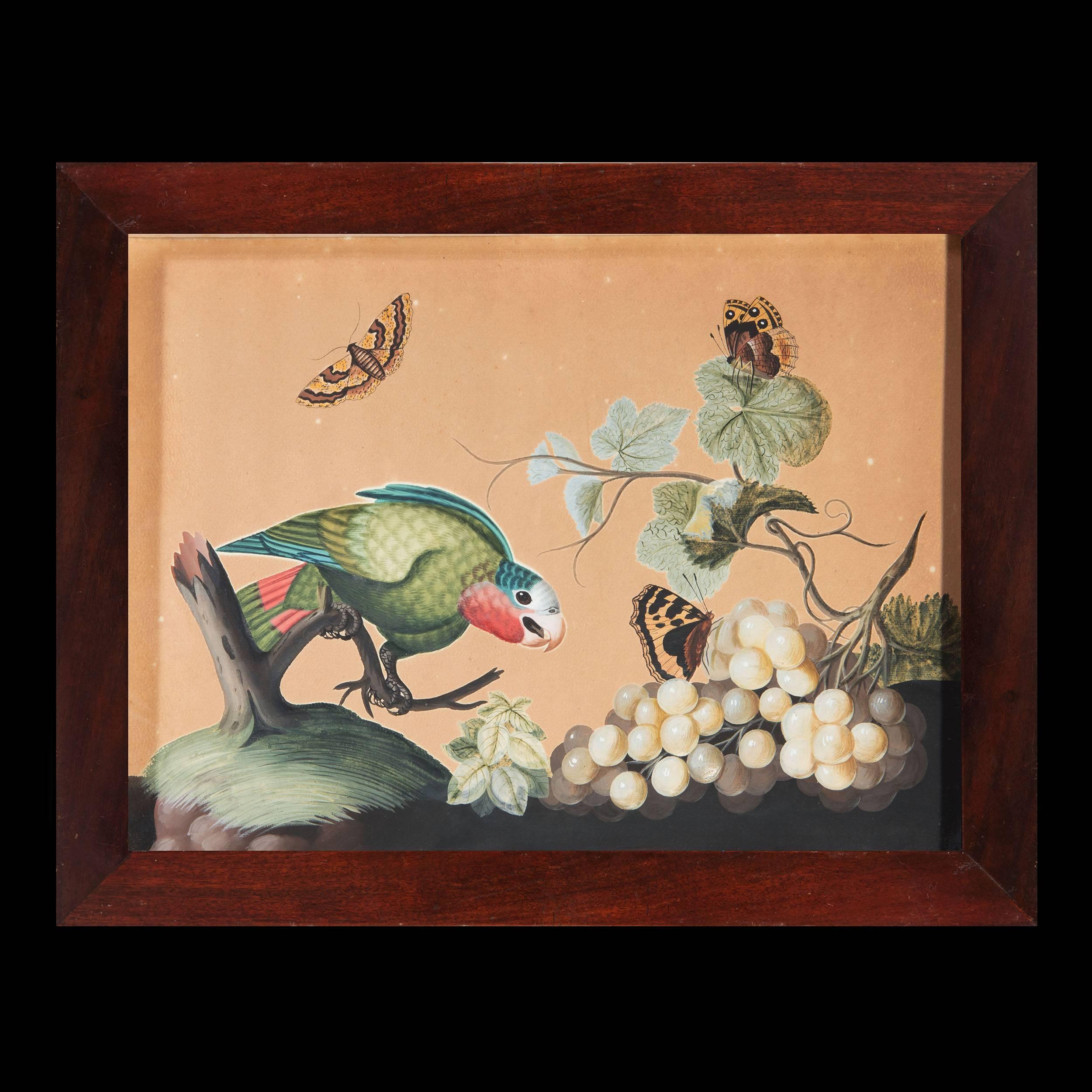 Pair of Samuel Dixon ‘Basso Relievo’ Watercolors of Birds and Flowers 2