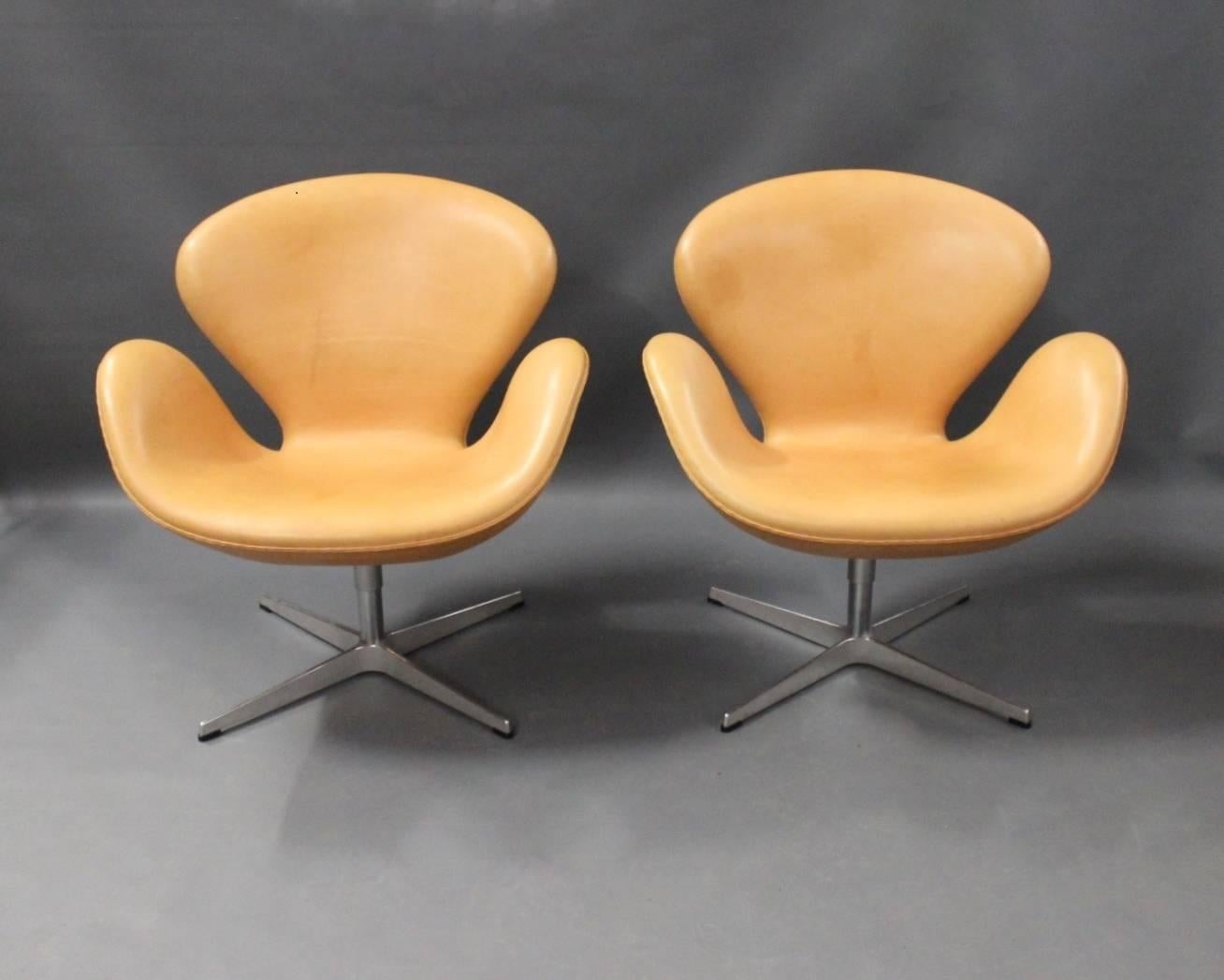 A pair of Swan chairs, model 3320, in natural leather with patina designed by Arne Jacobsen in 1958 and manufactured by Fritz Hansen in 2011.