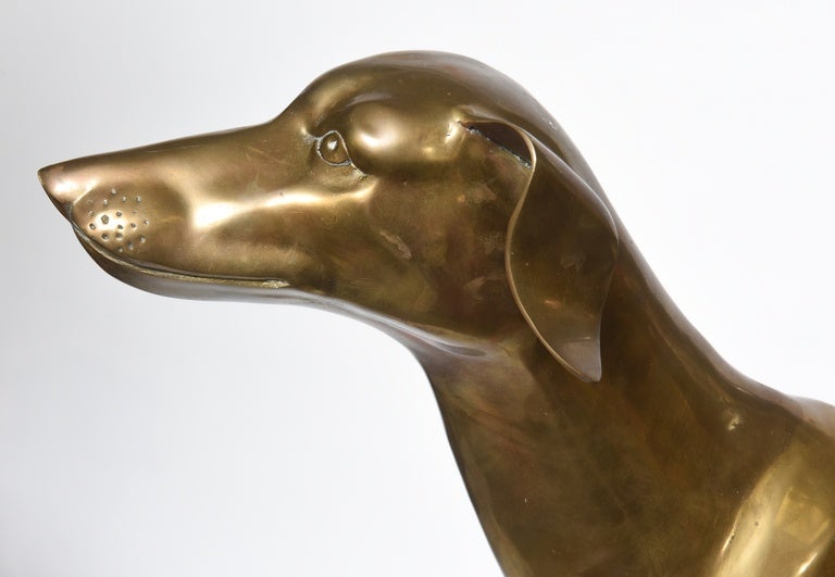 whippet price