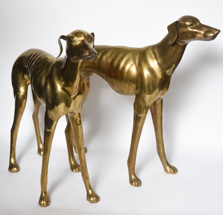 Pair of Midcentury Life-Size Brass Whippet Dogs In Good Condition In West Palm Beach, FL