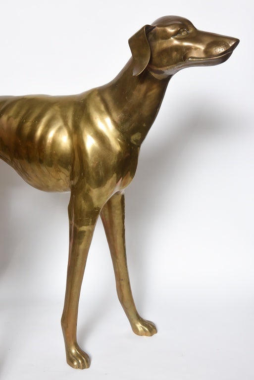 20th Century Pair of Midcentury Life-Size Brass Whippet Dogs
