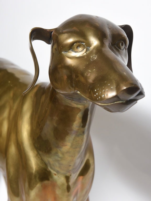 Pair of Midcentury Life-Size Brass Whippet Dogs 1