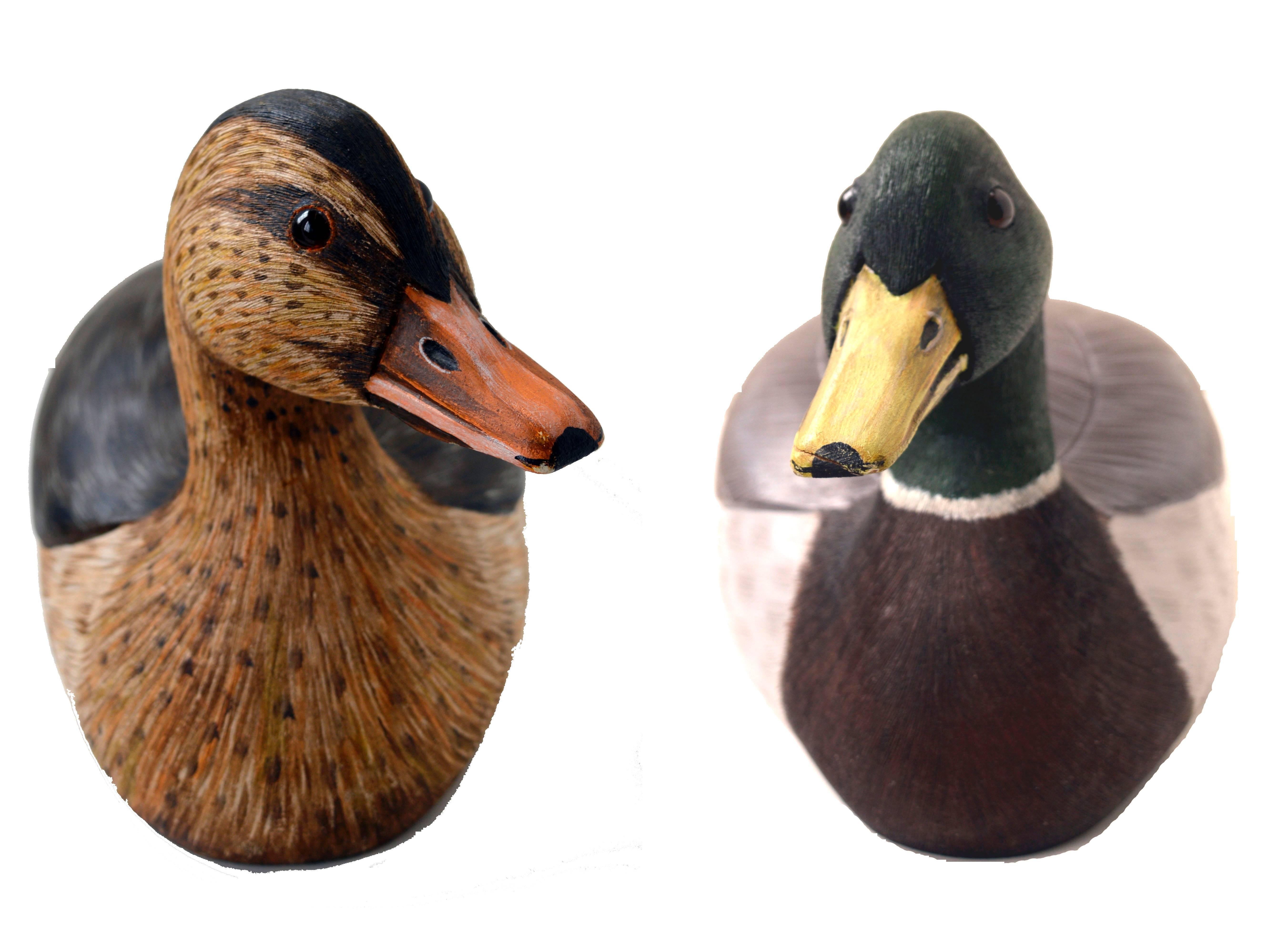 An excellent example of a fine hand-carved duck decoy craftsman created pair of Mallards. The artists name is not yet determined 