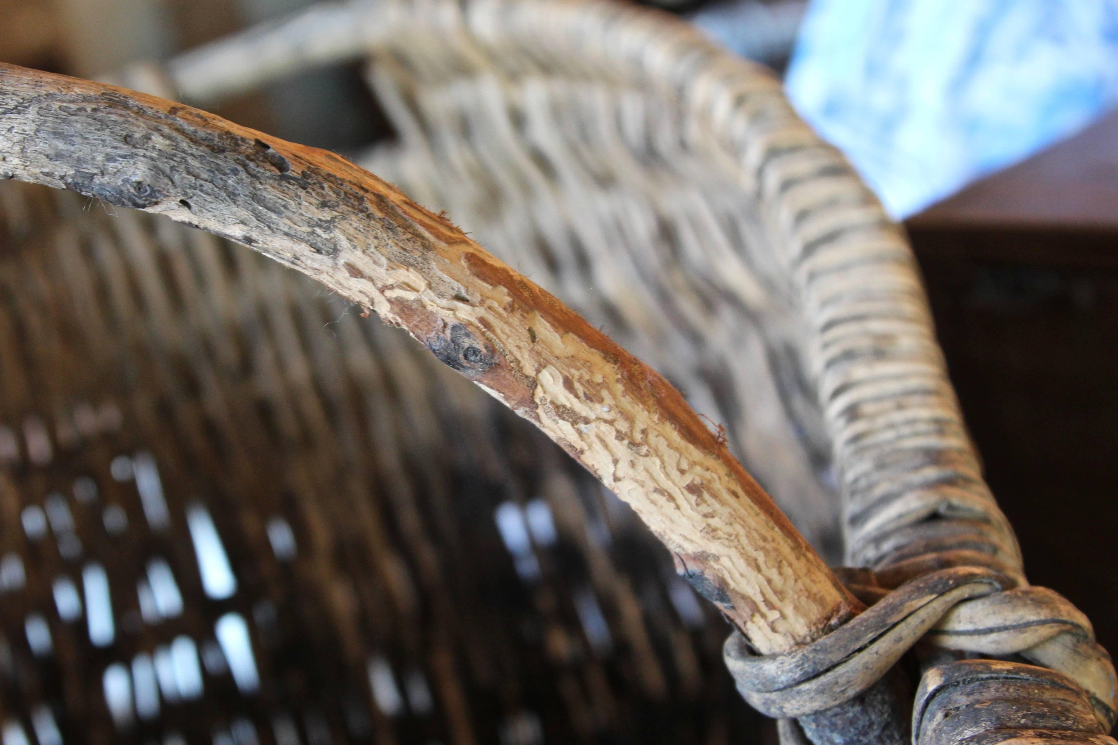 Late 19th century French grape gathering basket from the Nuits-Saint-Georges vineyards.