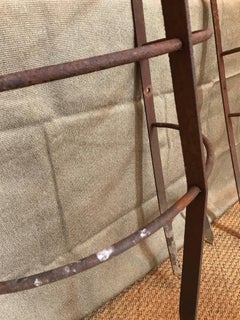 19th Century Estate Made Iron Tree Guards