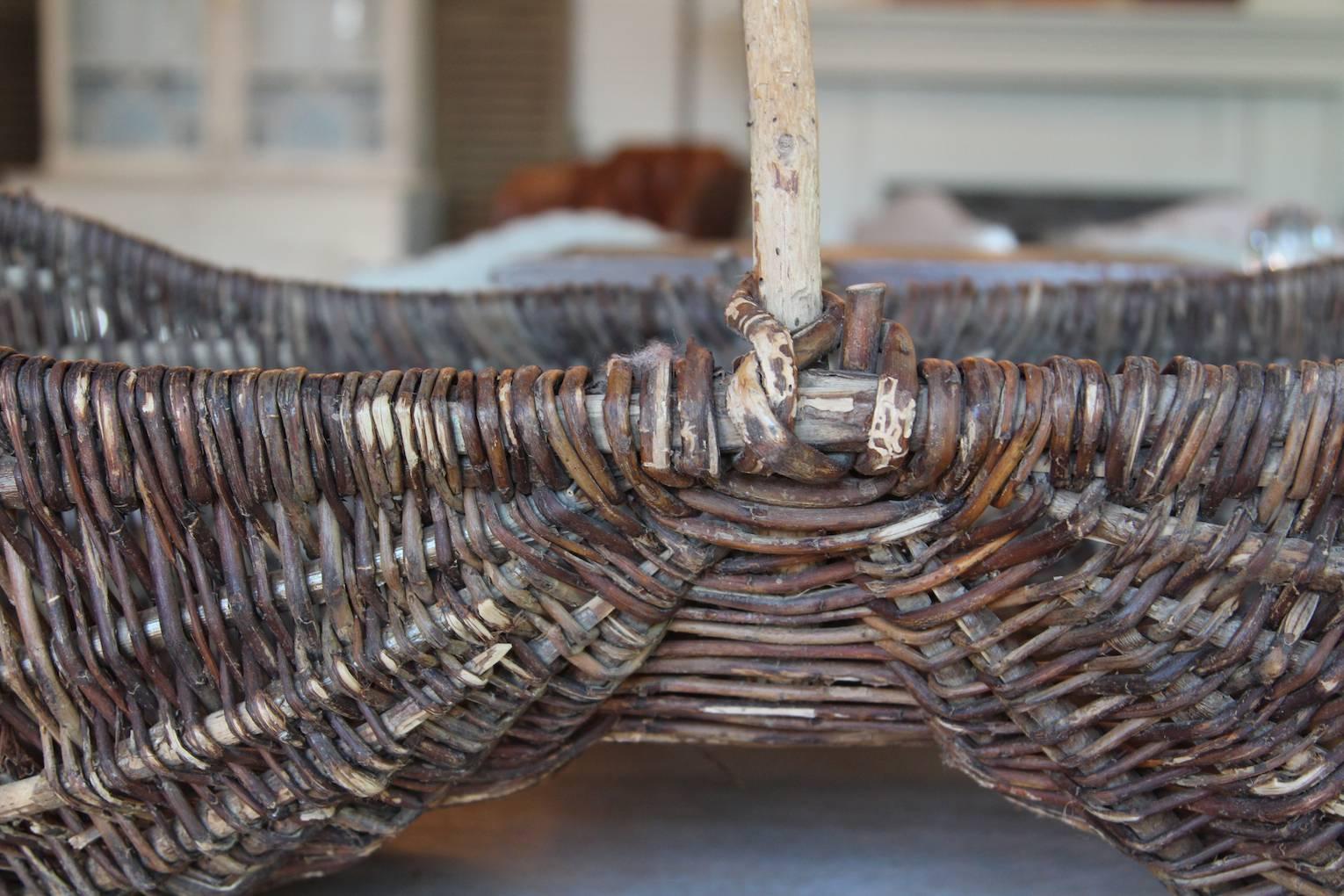 Late 19th century French grape gathering basket.