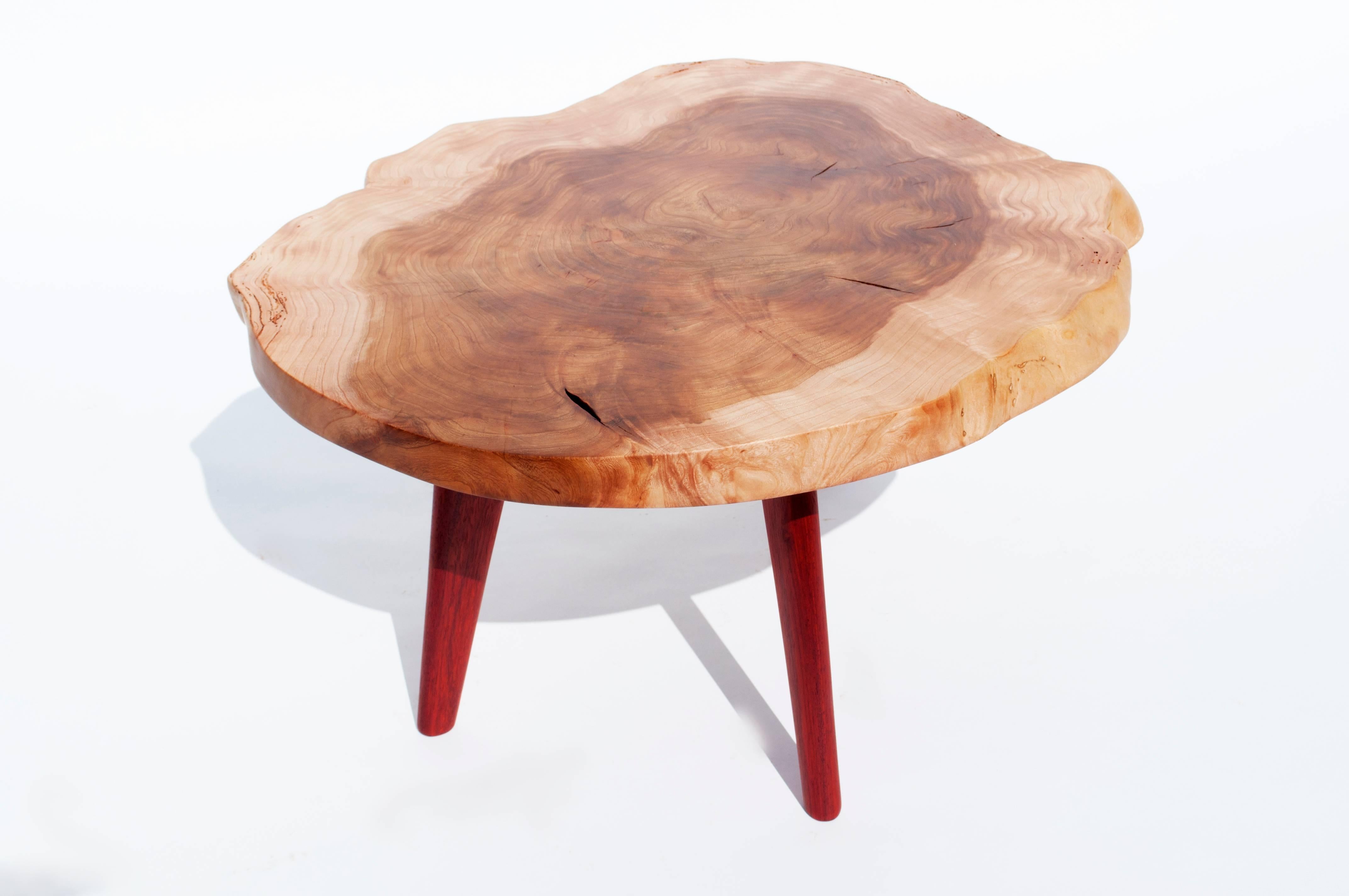 Organic Modern Unique Ash Padouk Table by Jörg Pietschmann